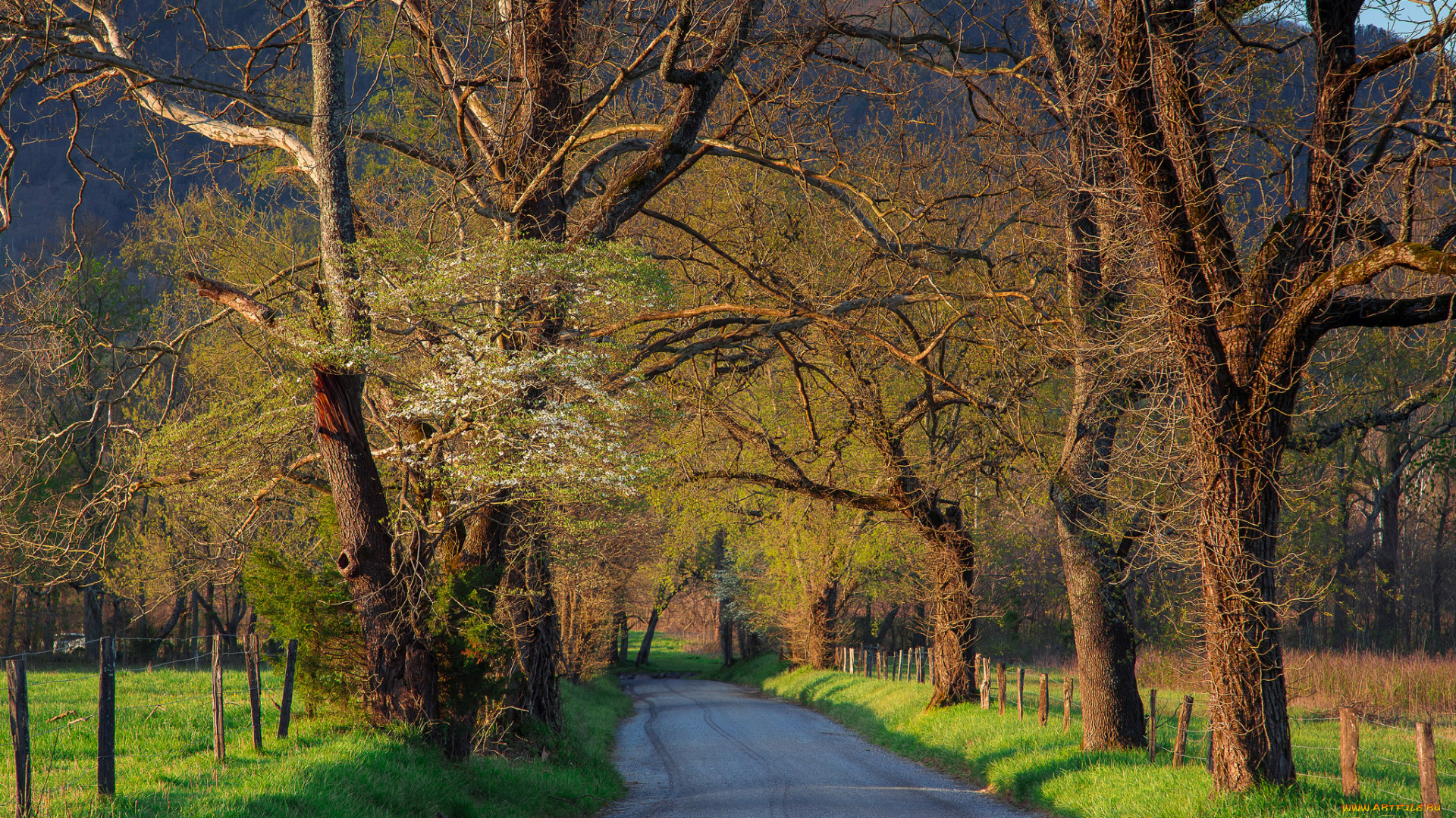 природа, дороги, простор