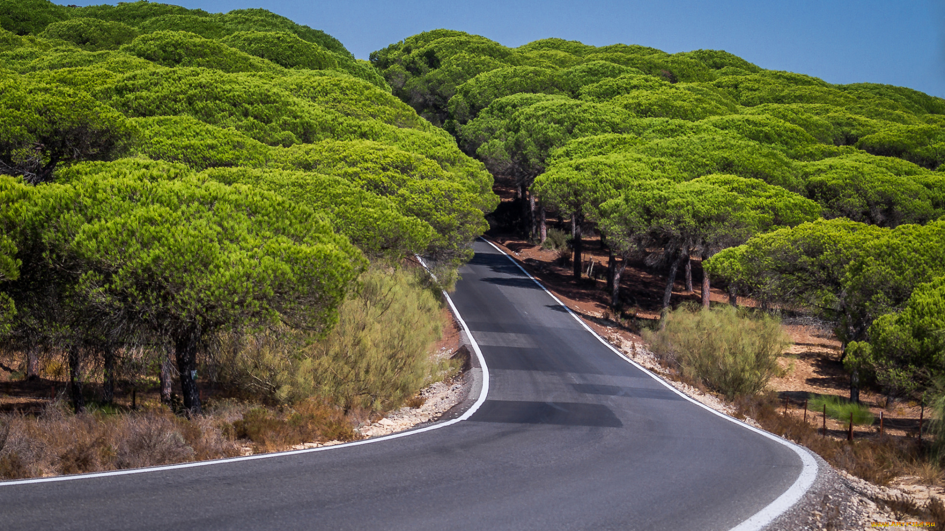 природа, дороги, простор