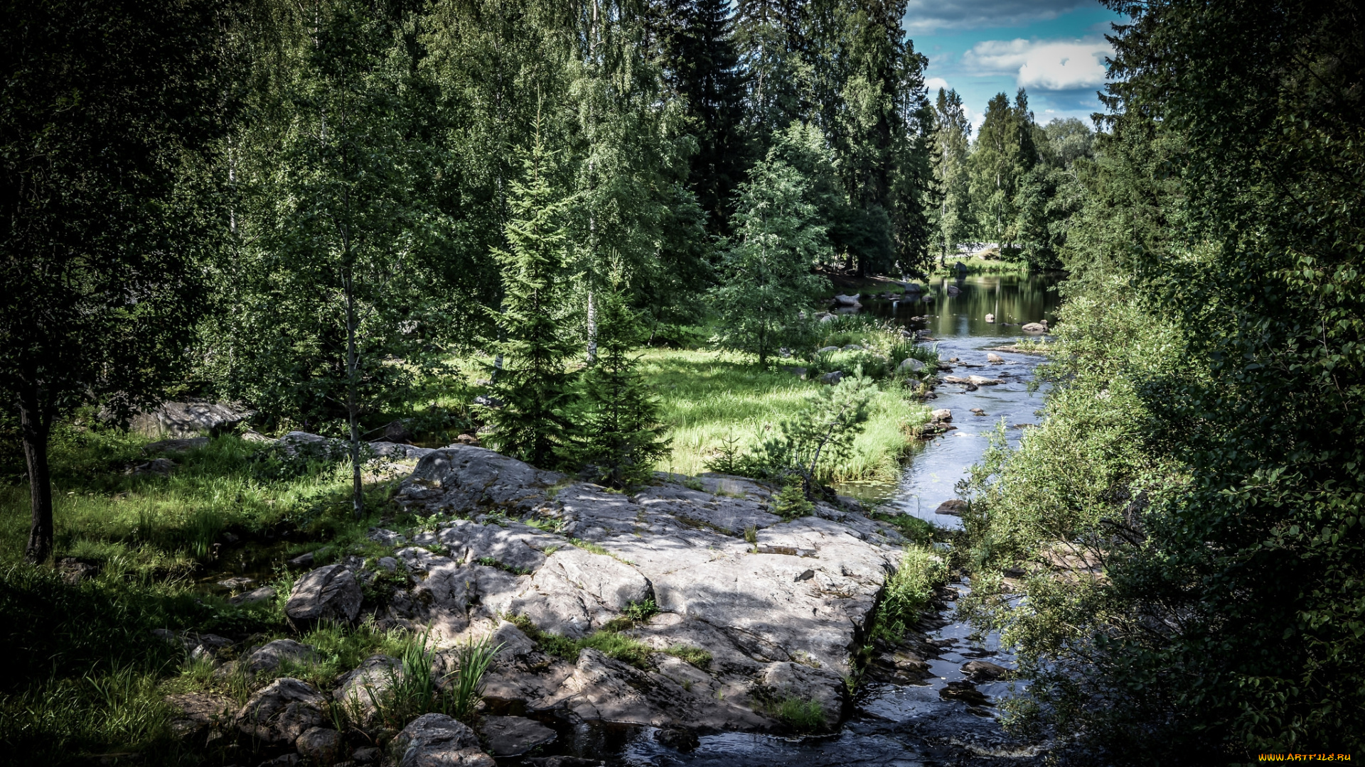 природа, лес, простор