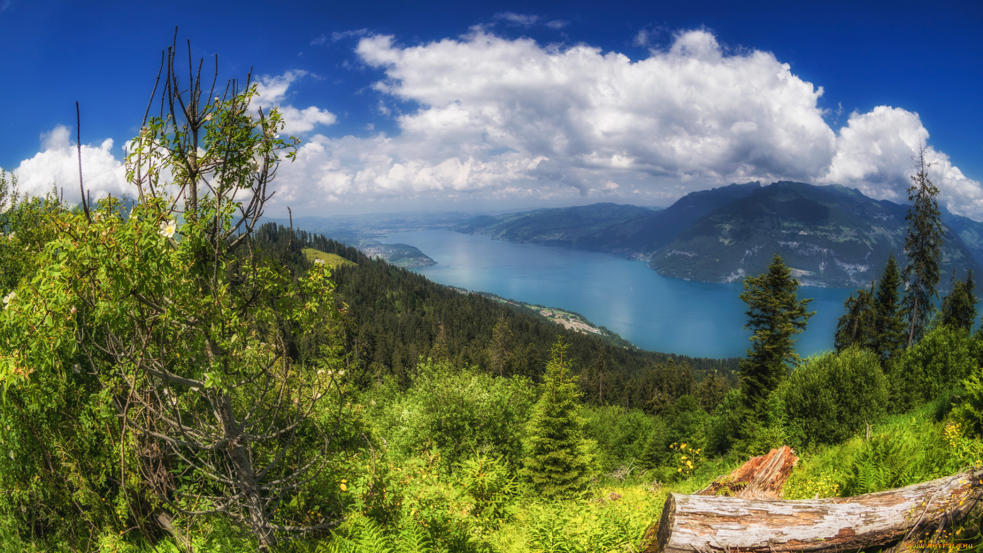 природа, пейзажи, простор