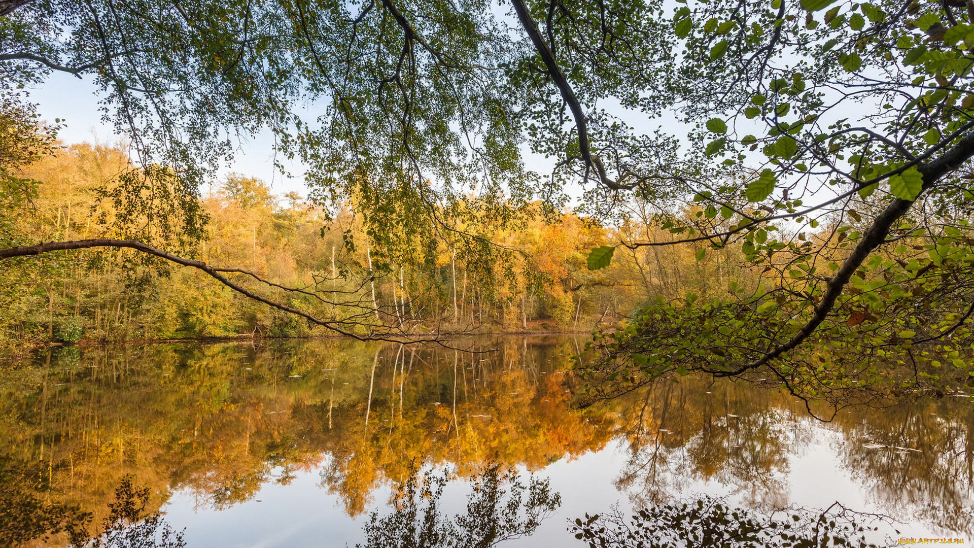 природа, реки, озера, простор