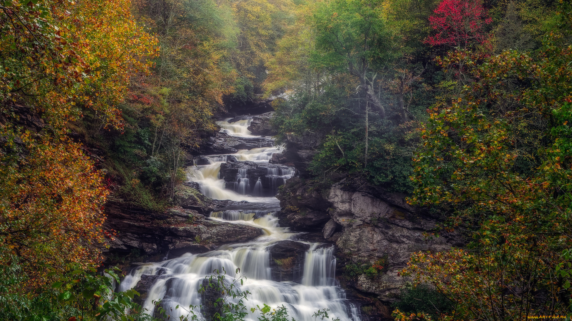 природа, реки, озера, простор