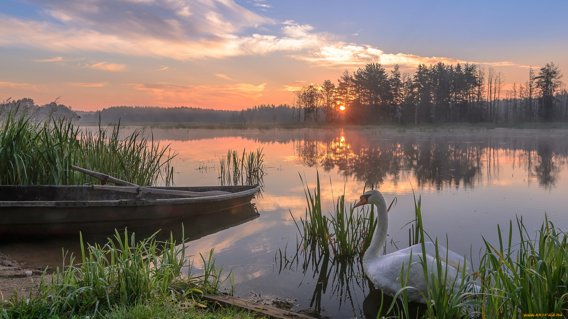 природа, реки, озера, простор