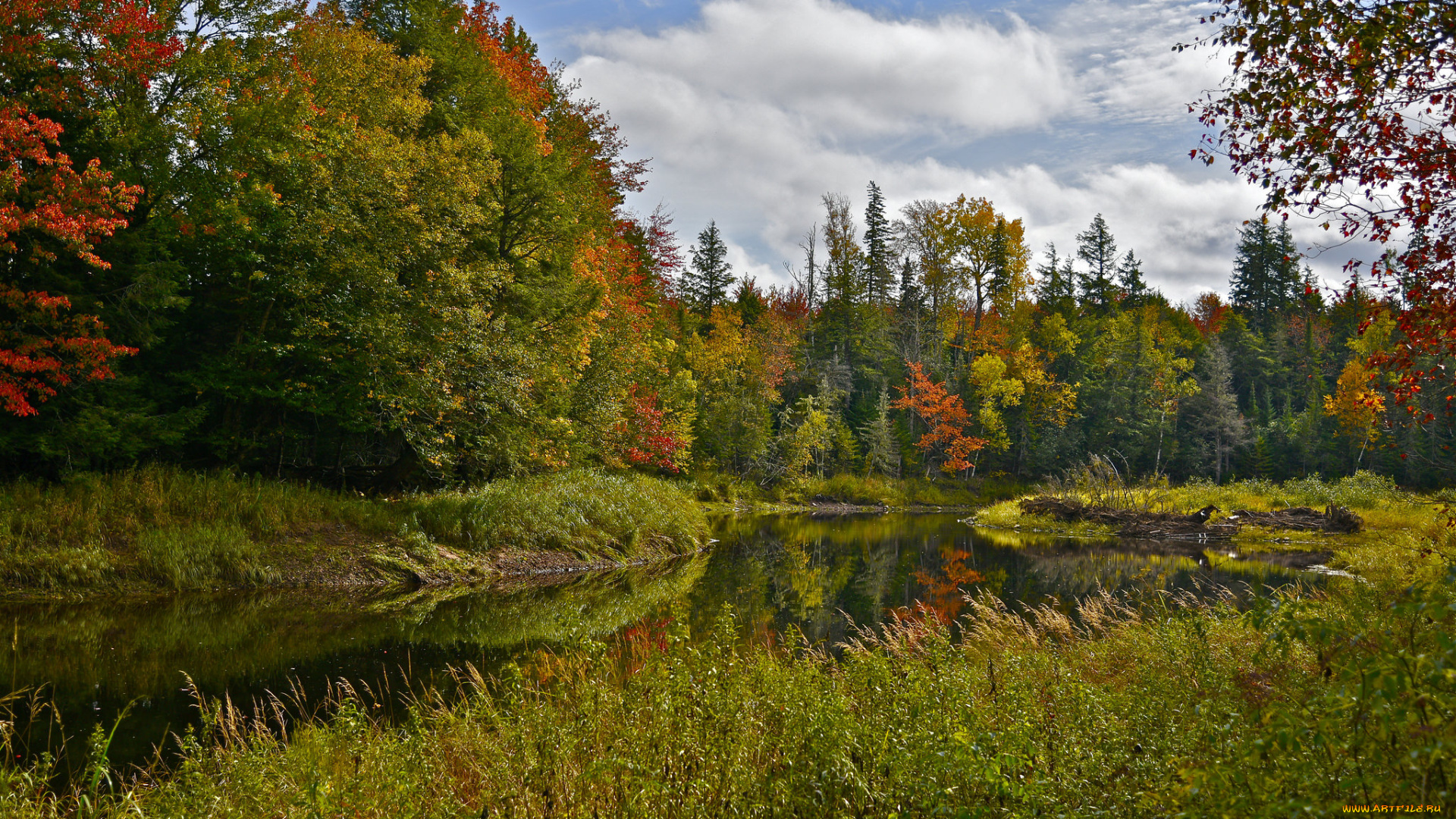 природа, реки, озера, простор