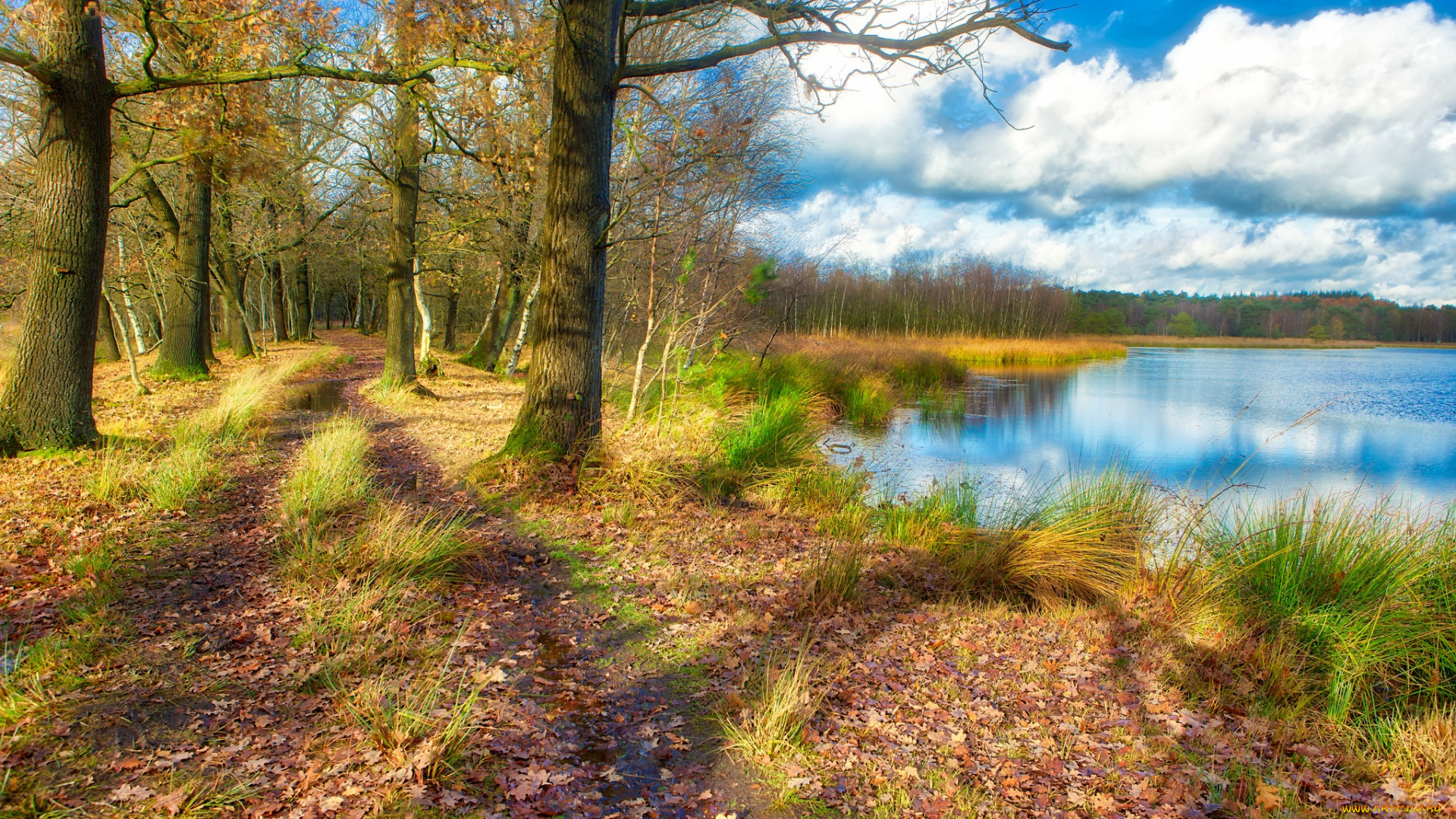 природа, реки, озера, простор