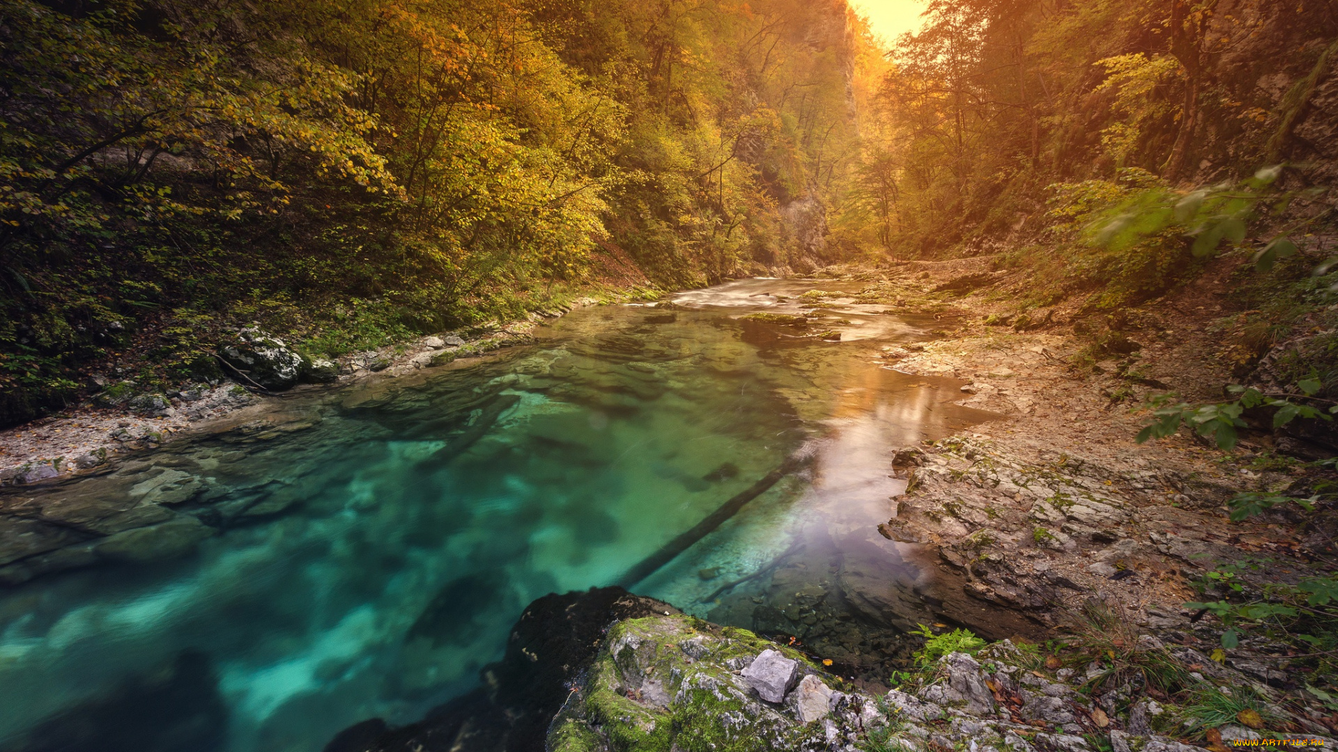 природа, реки, озера, река, осень, лес