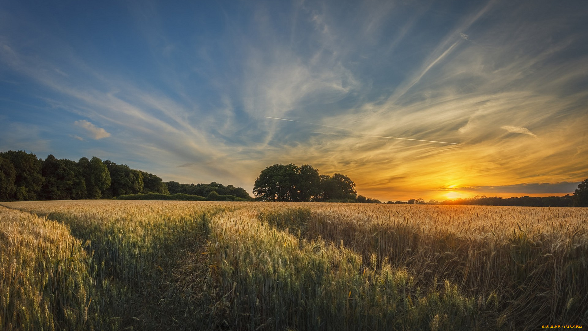 природа, восходы, закаты, простор