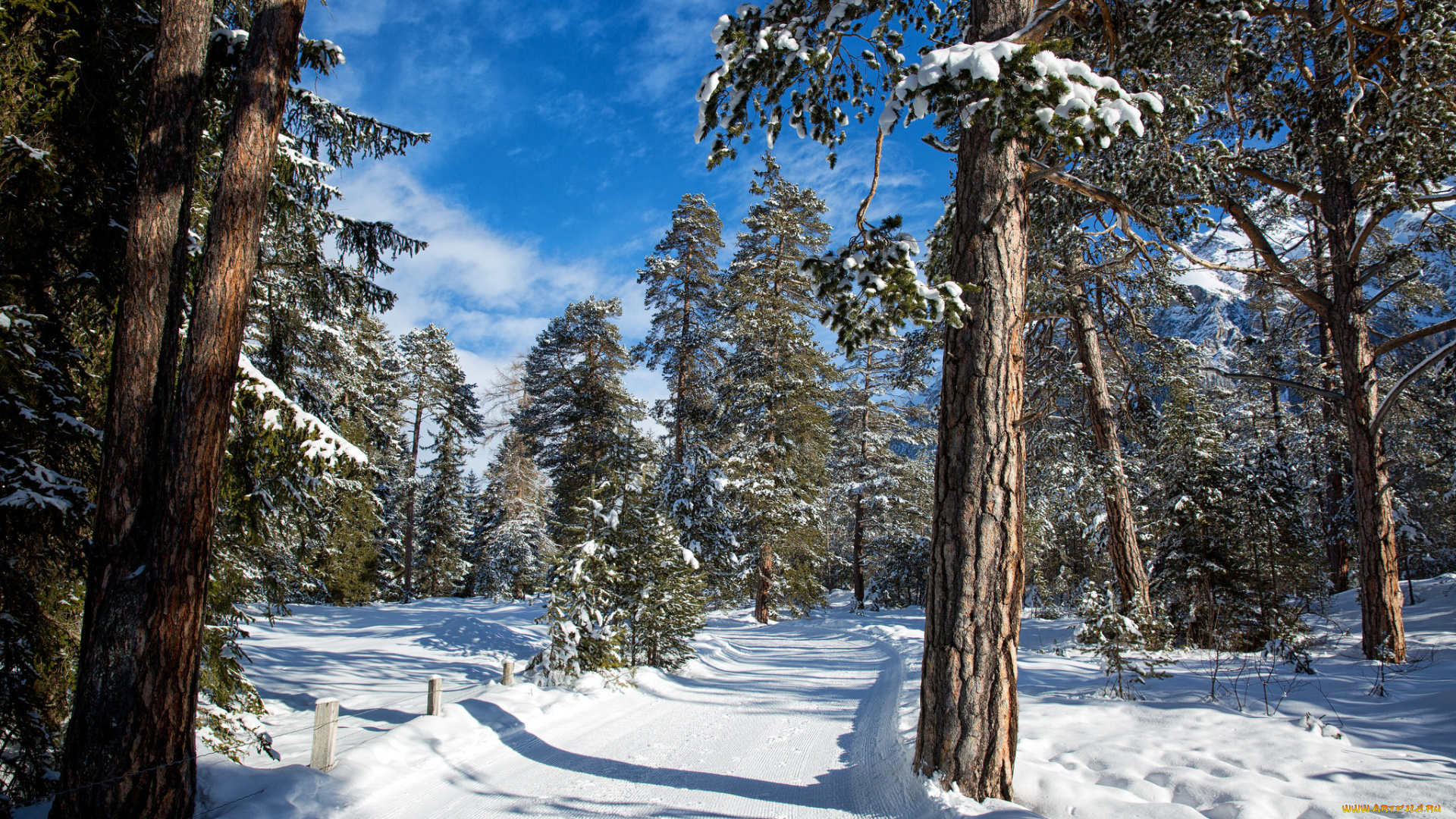 природа, зима, простор