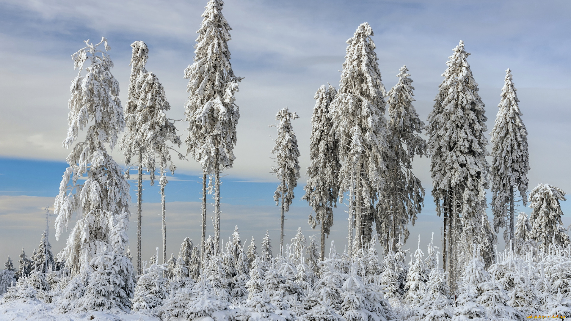 природа, зима, простор