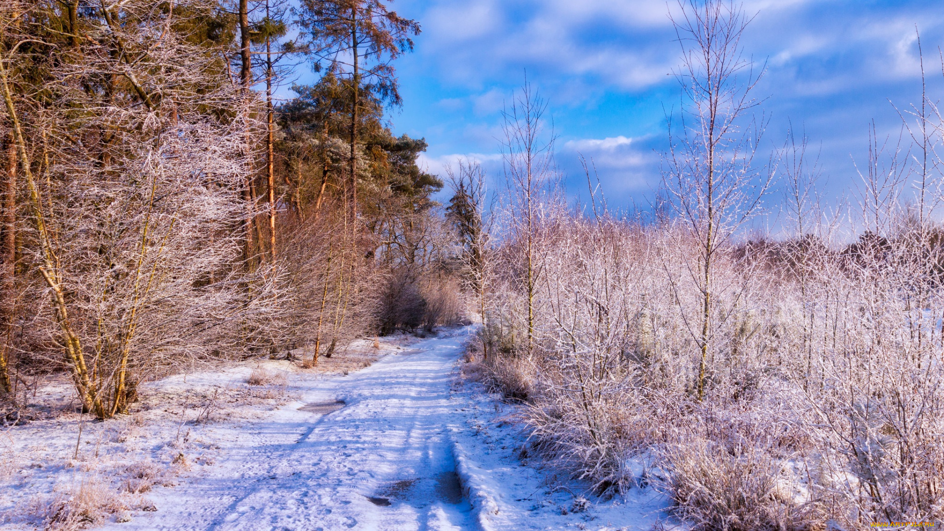 природа, зима, простор