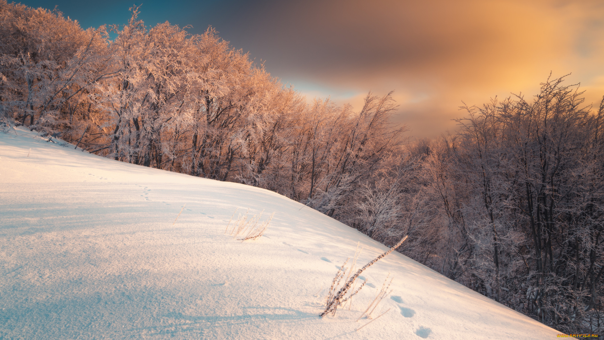 природа, зима, простор