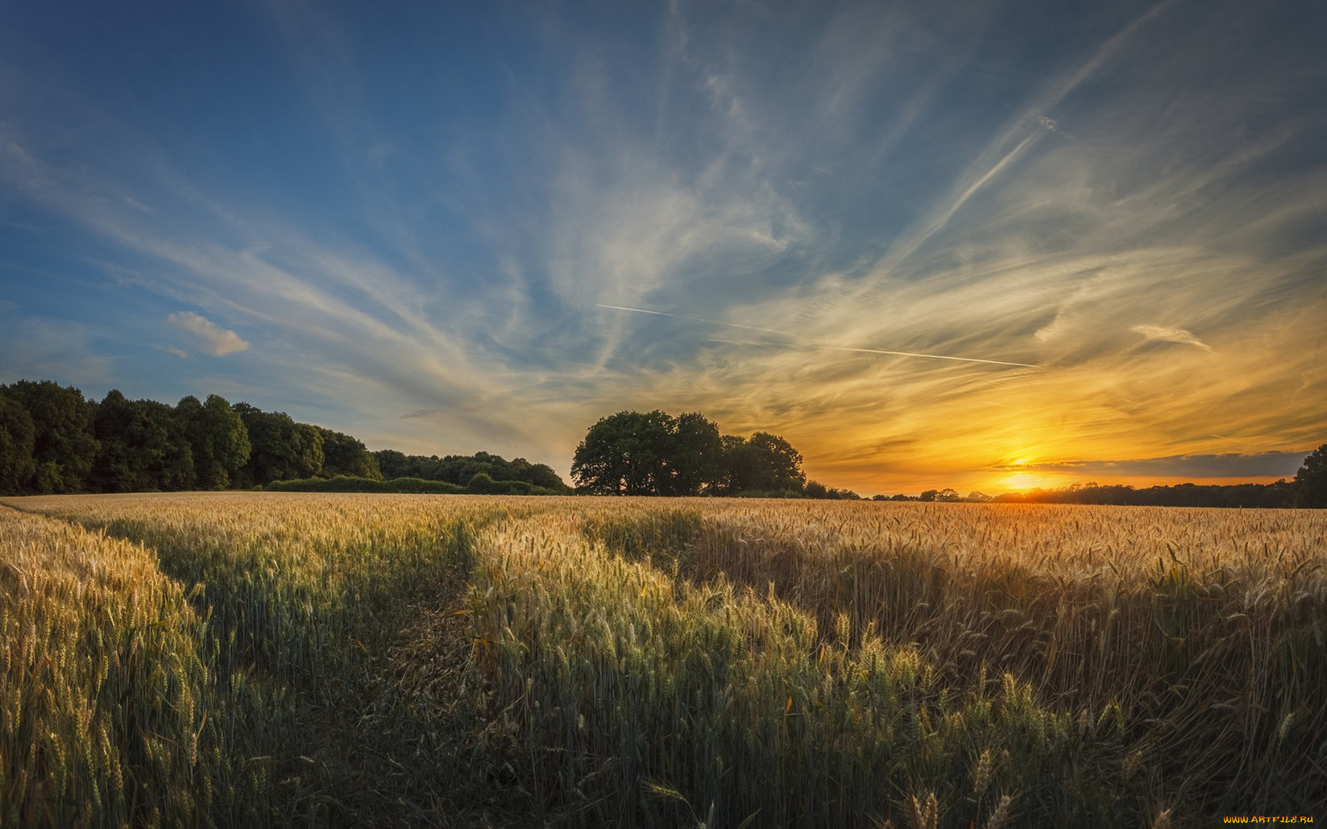 природа, восходы, закаты, простор