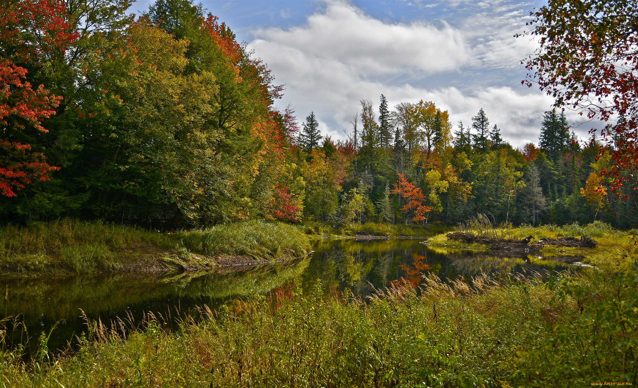 природа, реки, озера, простор