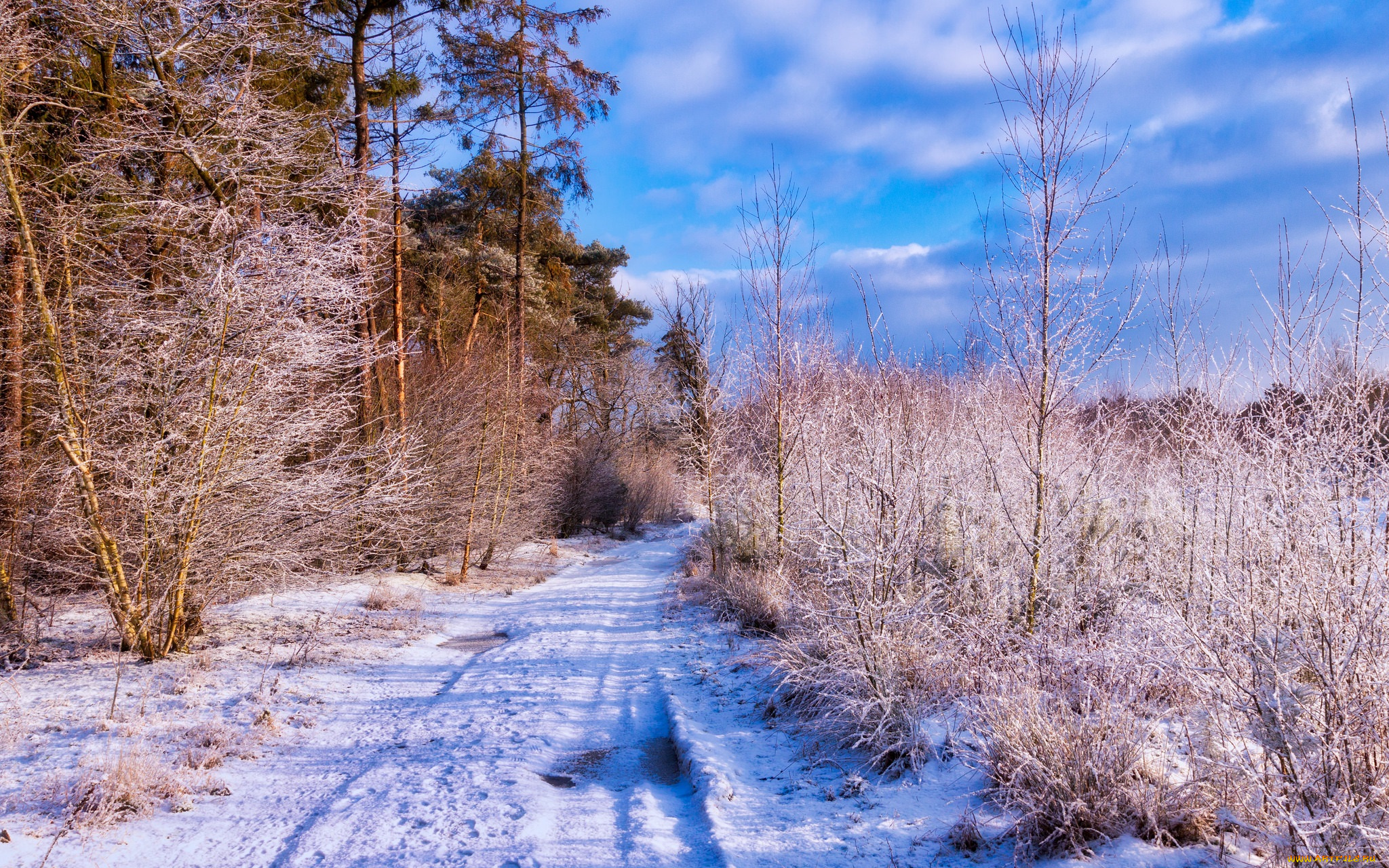 природа, зима, простор