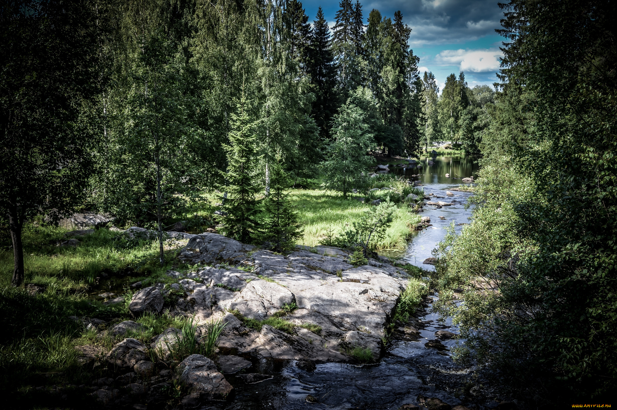 природа, лес, простор