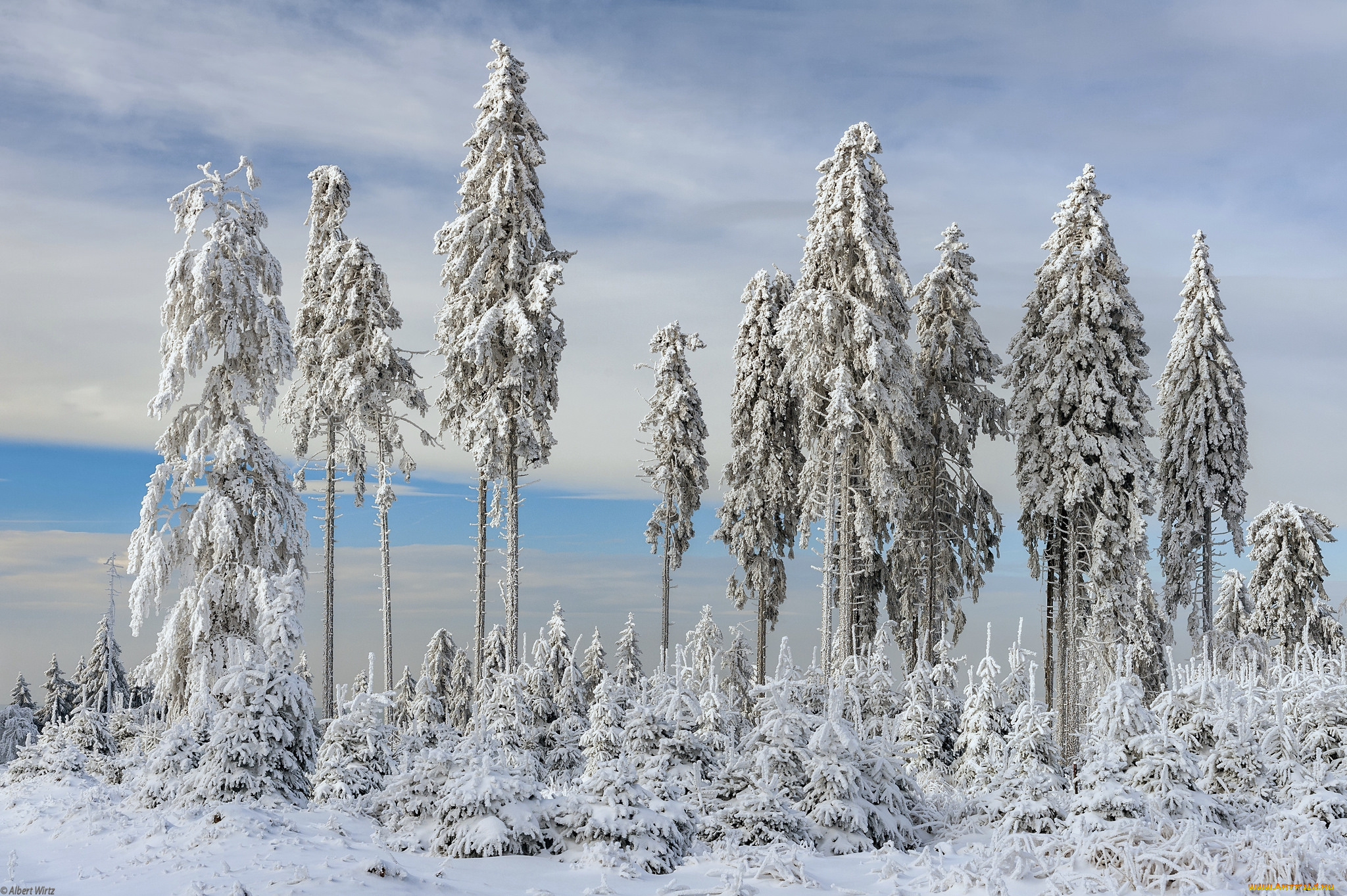 природа, зима, простор