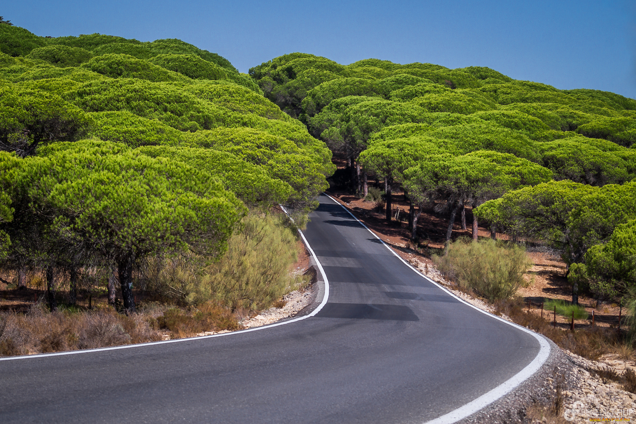 природа, дороги, простор