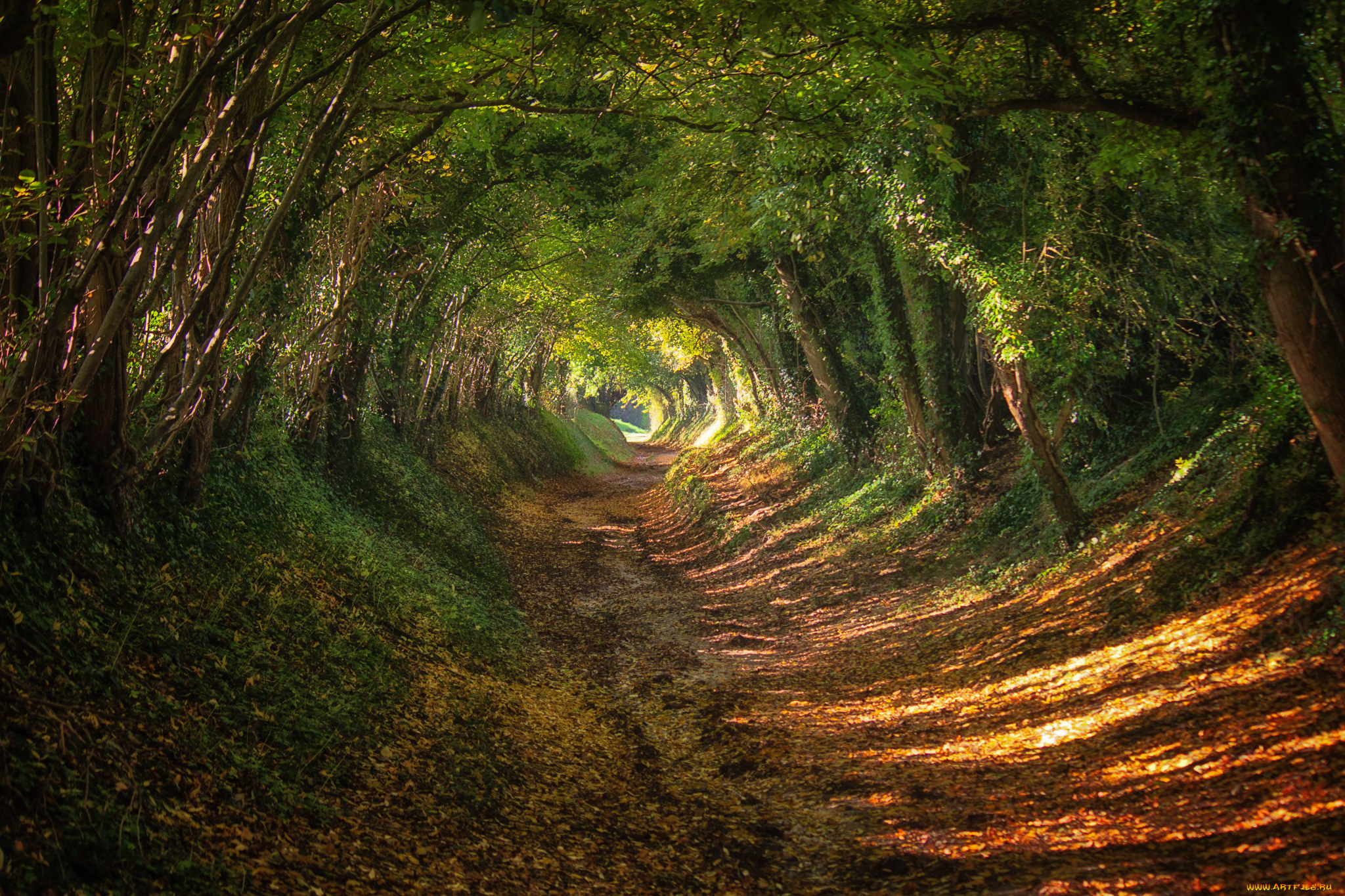 природа, дороги, простор