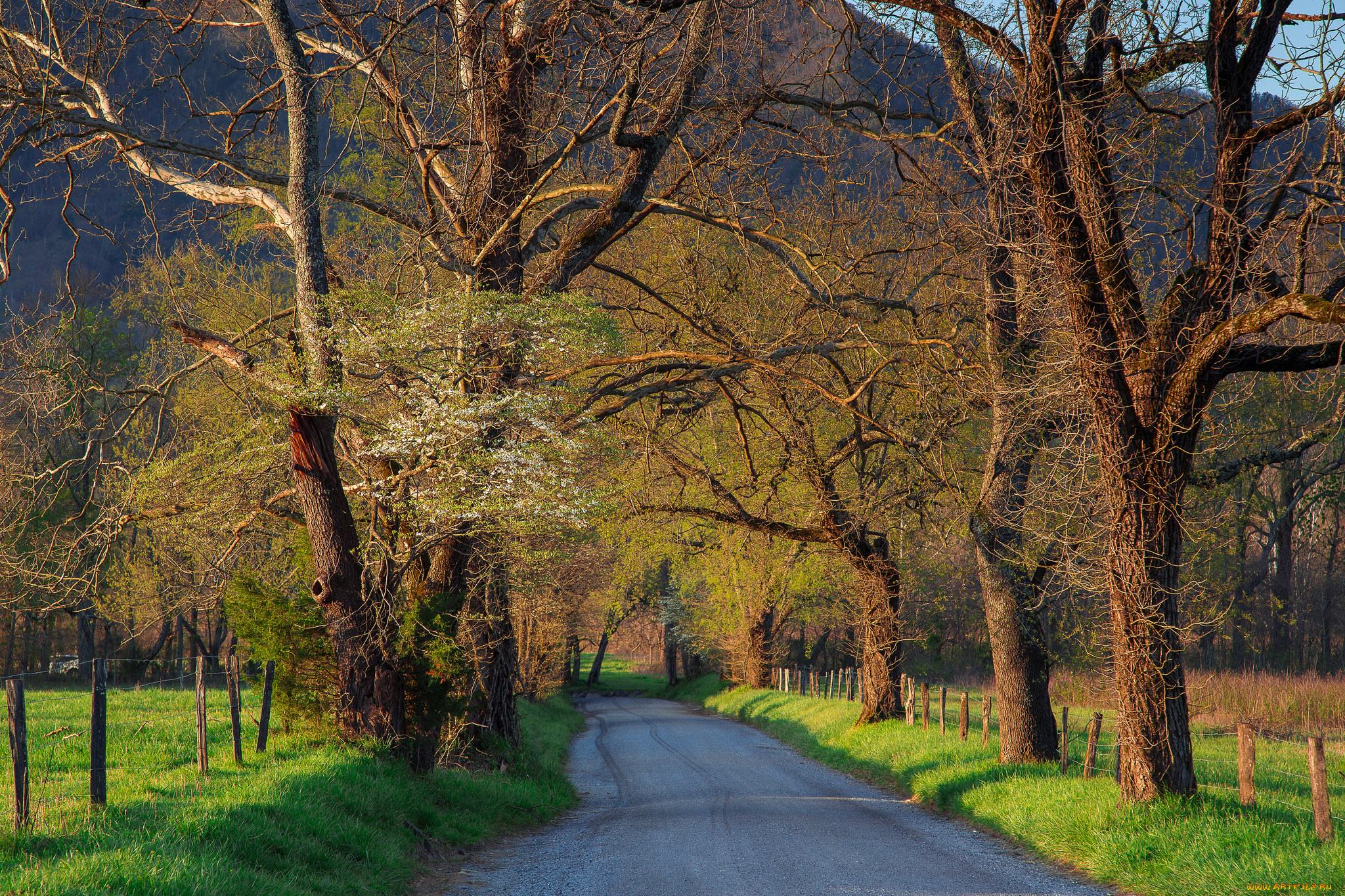 природа, дороги, простор