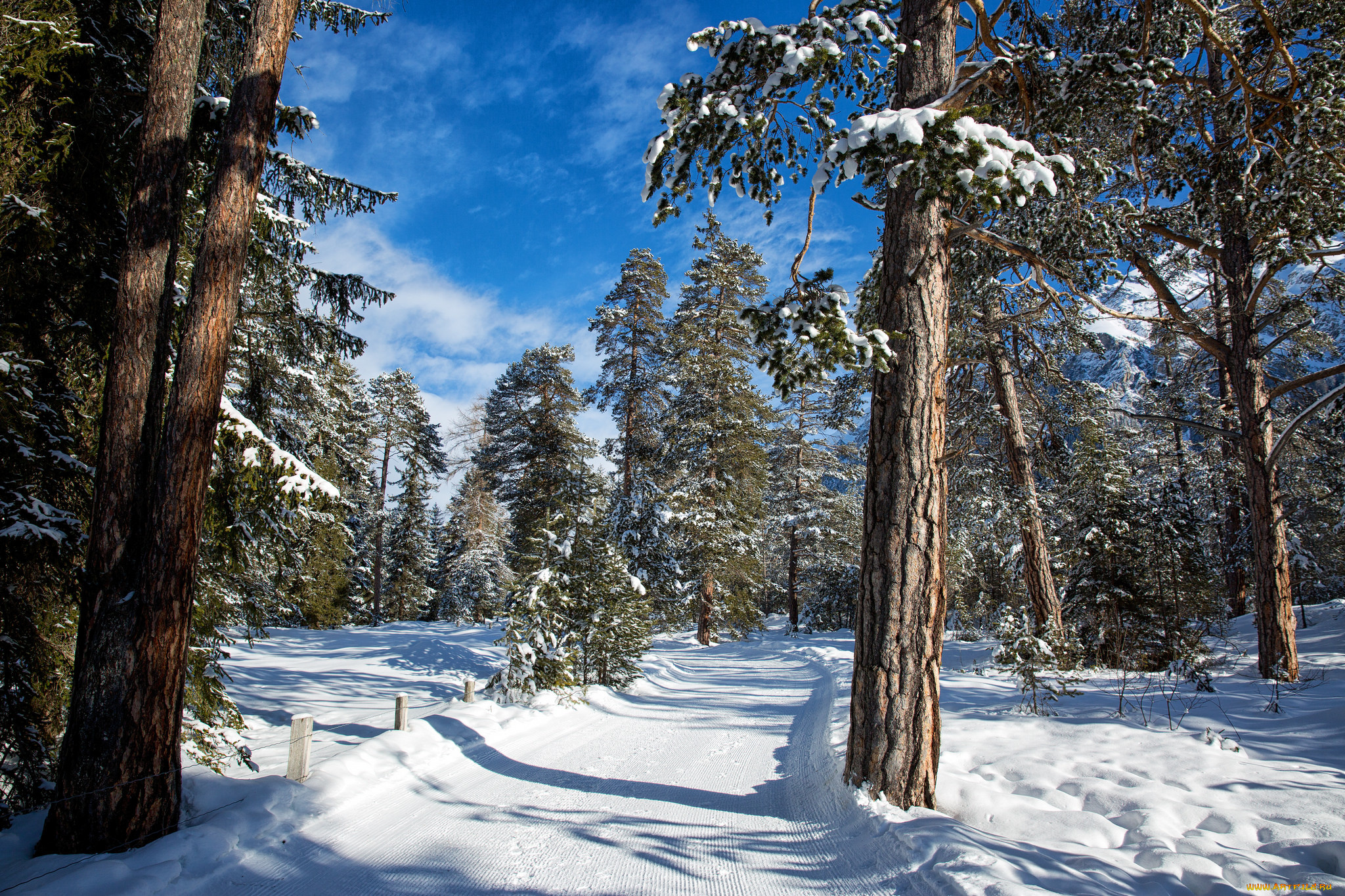 природа, зима, простор
