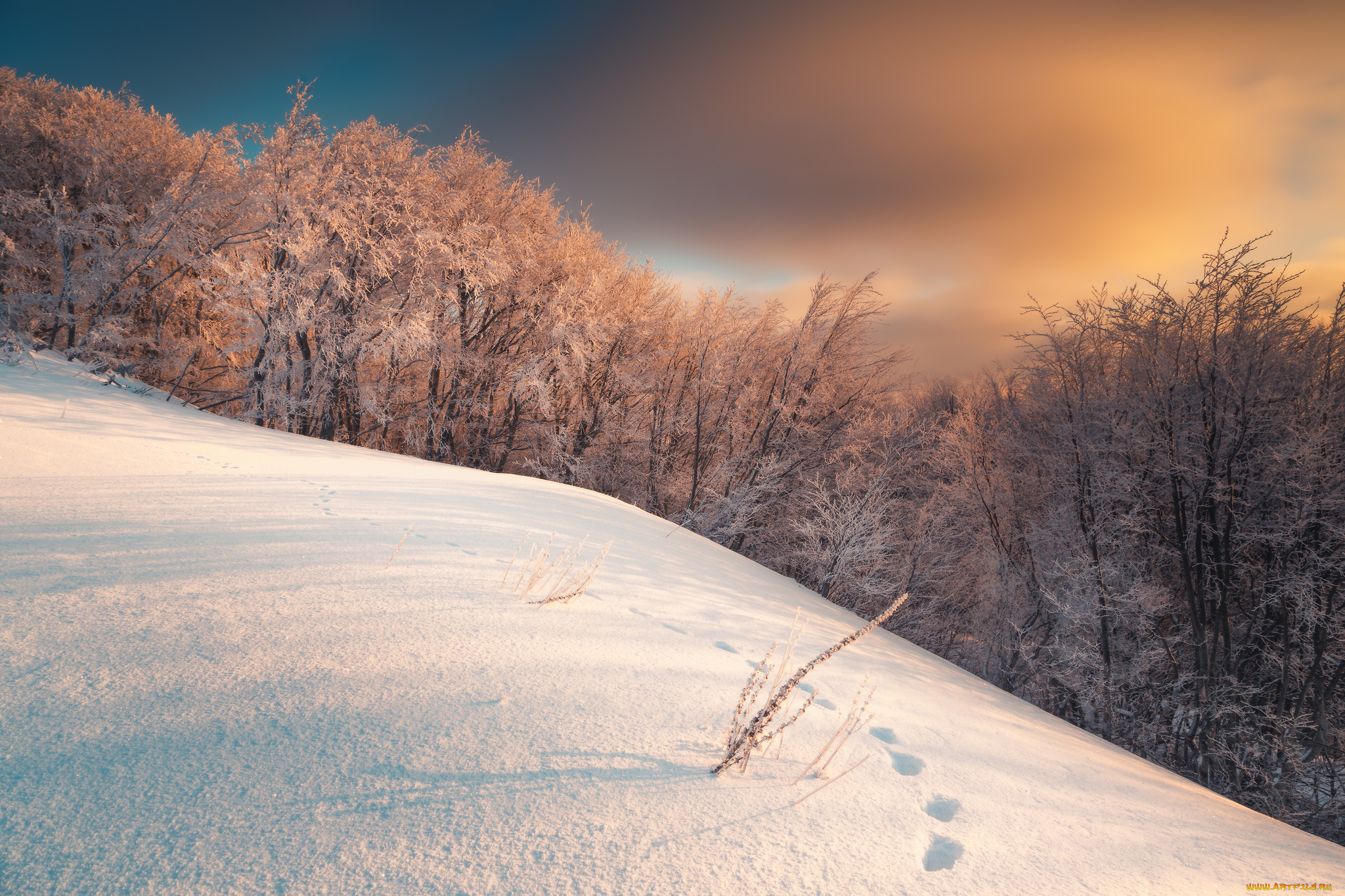 природа, зима, простор