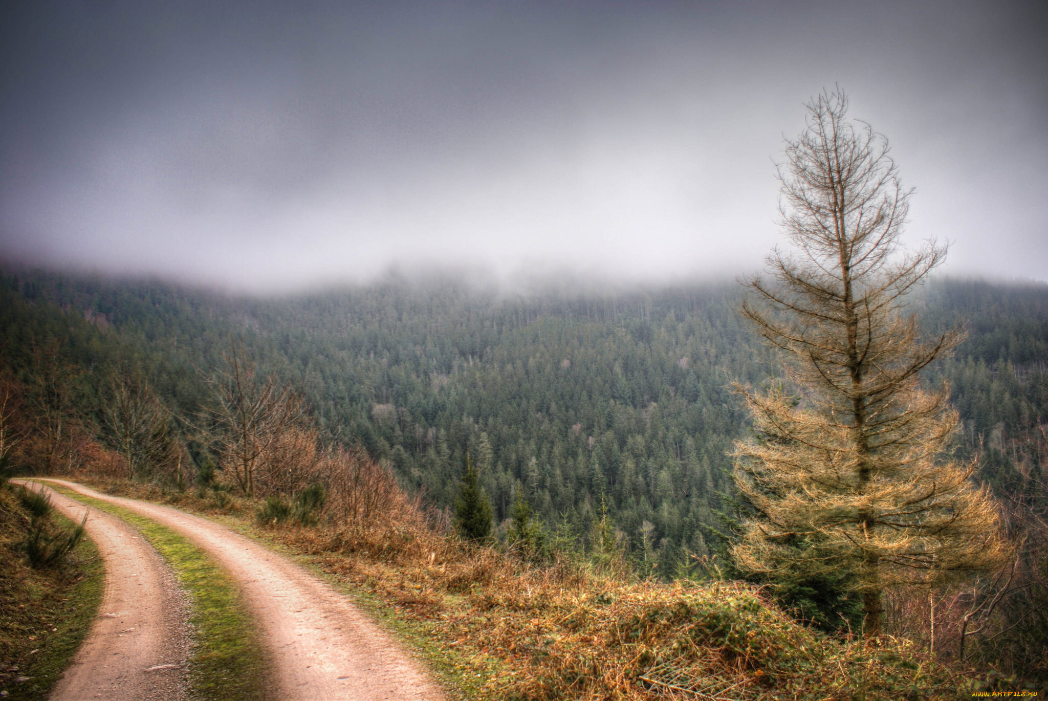 природа, дороги, простор