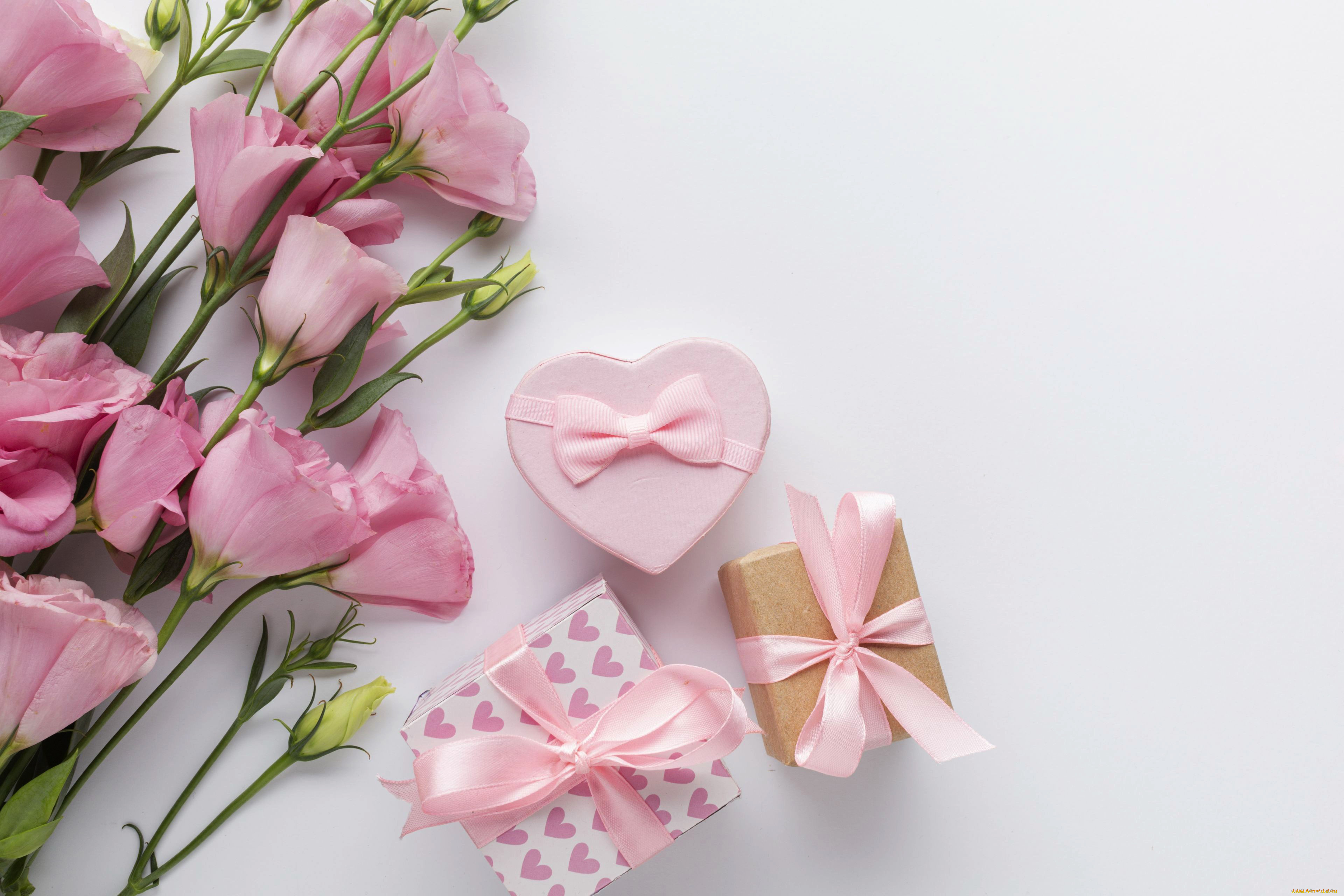 праздничные, подарки, и, коробочки, подарки, эустома