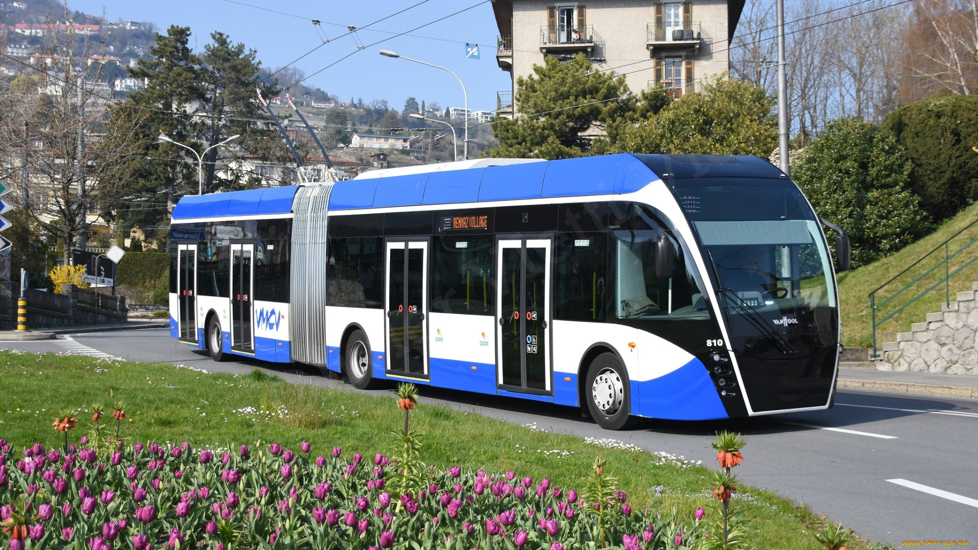 троллейбус, техника, троллейбусы, город, улица