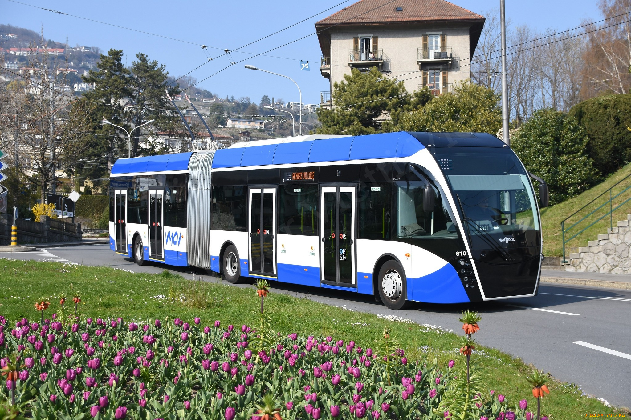 троллейбус, техника, троллейбусы, город, улица