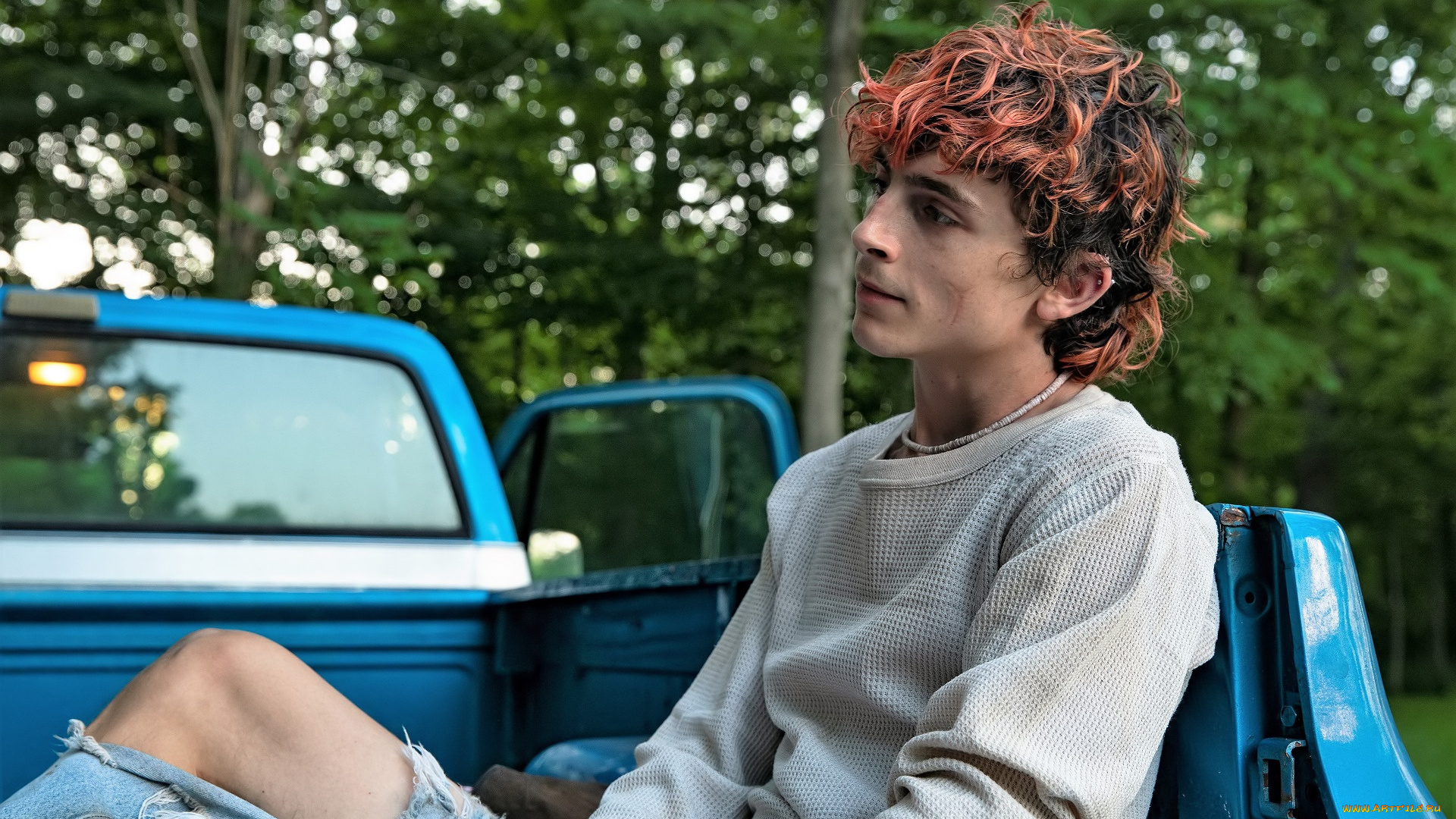 кино, фильмы, bones, and, all, парень, машина