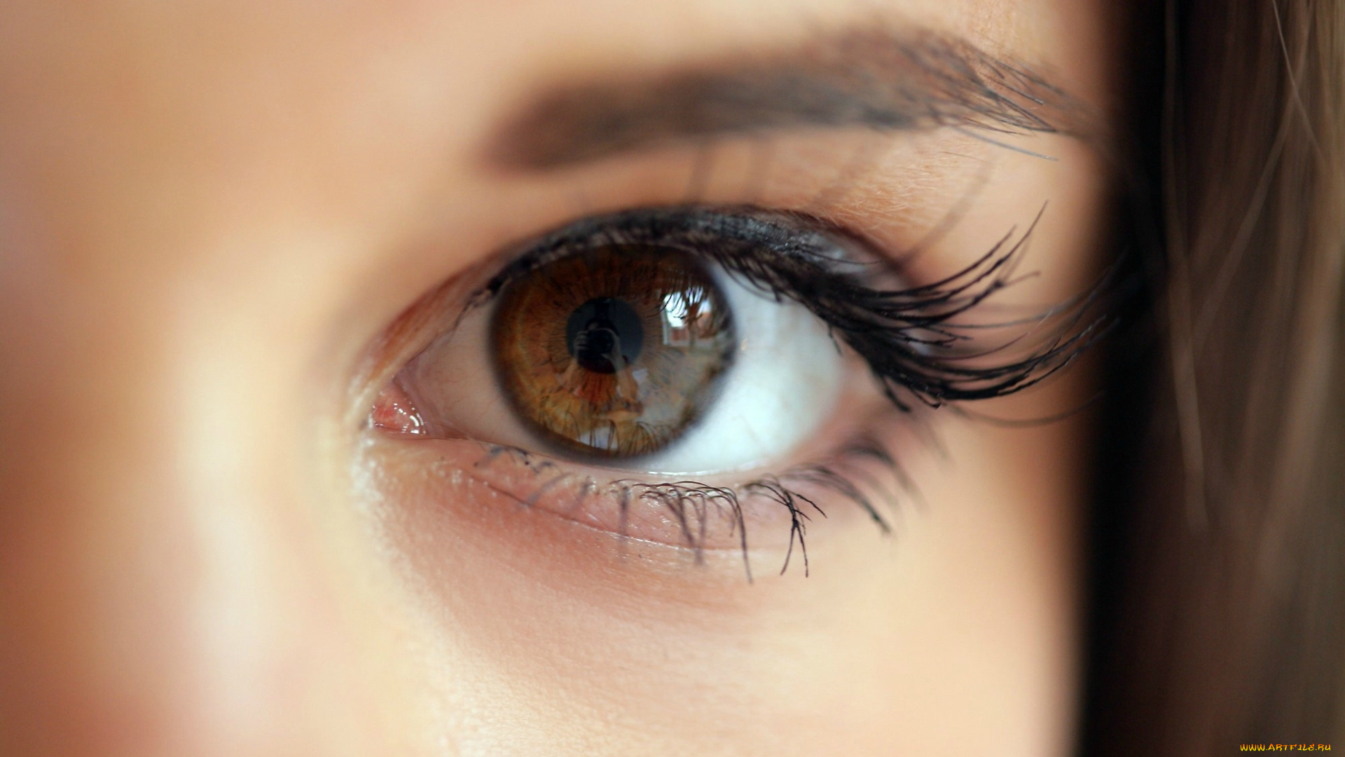 разное, глаза, карий, глаз
