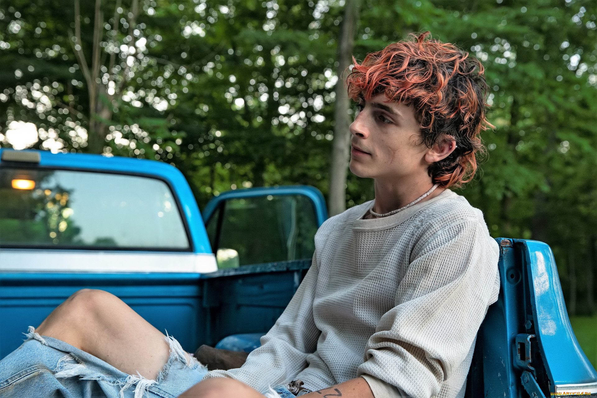 кино, фильмы, bones, and, all, парень, машина