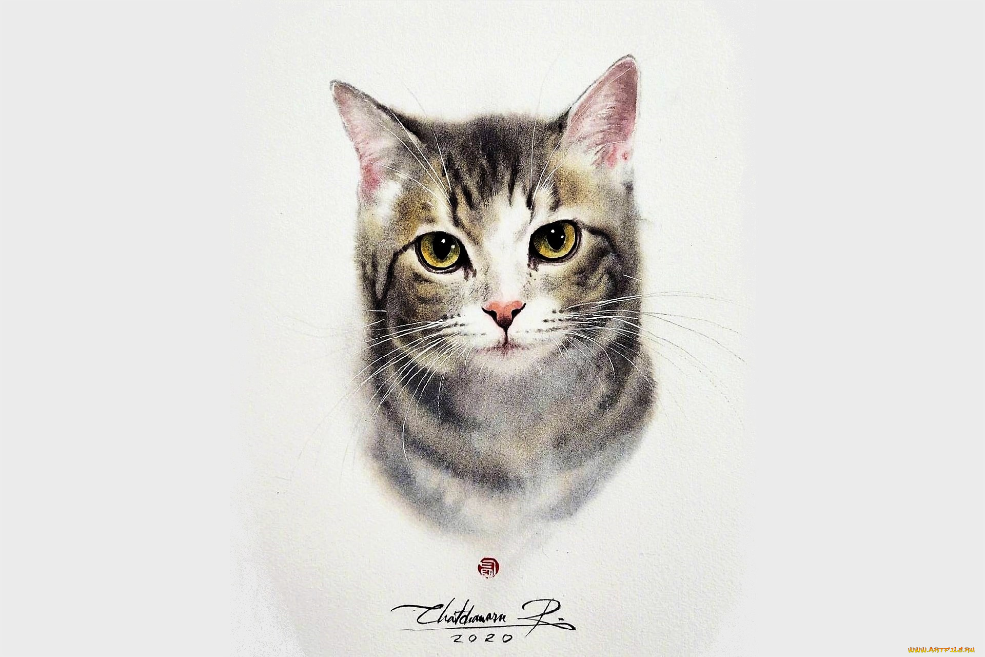 рисованное, животные, , коты, кот, голова