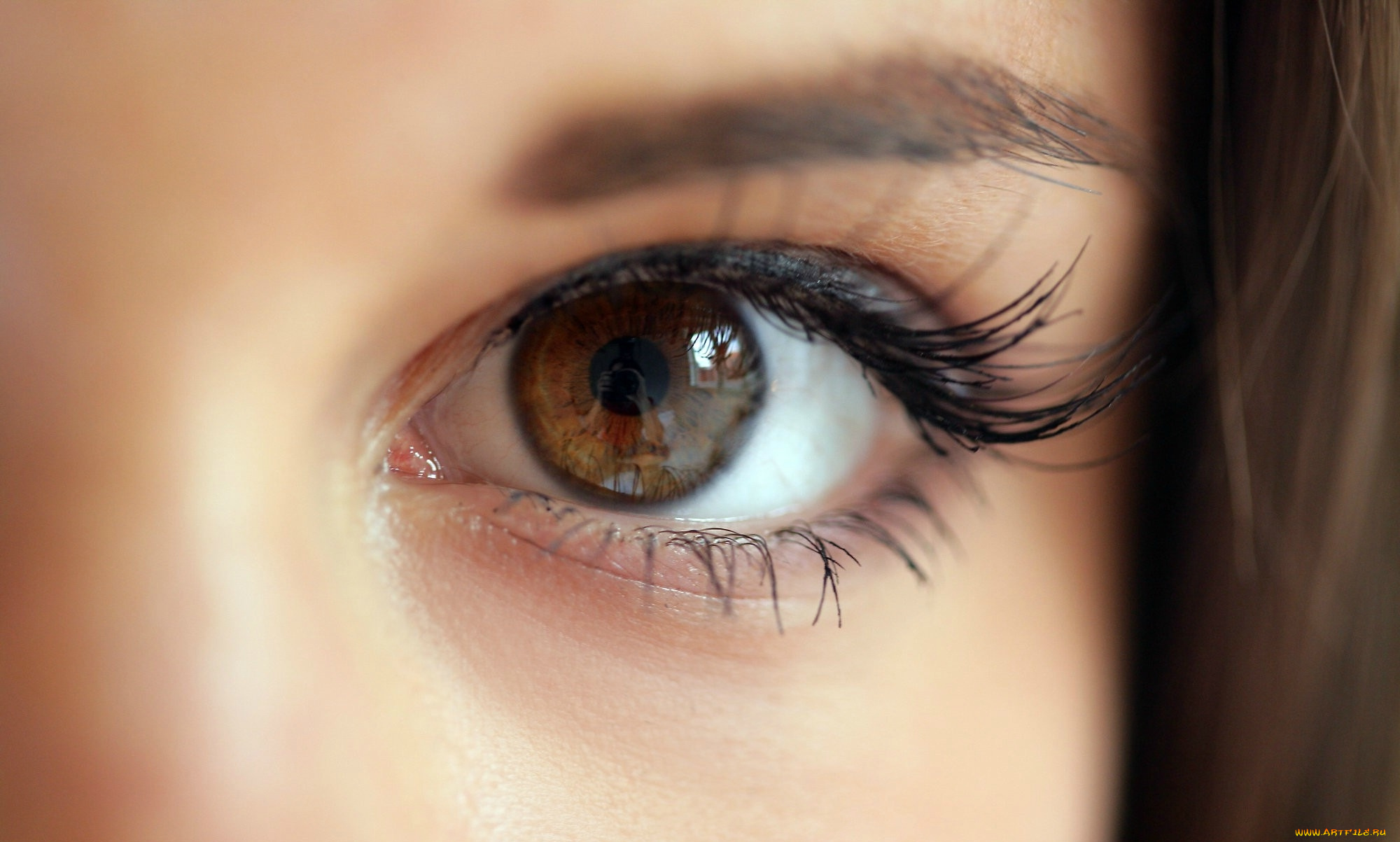 разное, глаза, карий, глаз