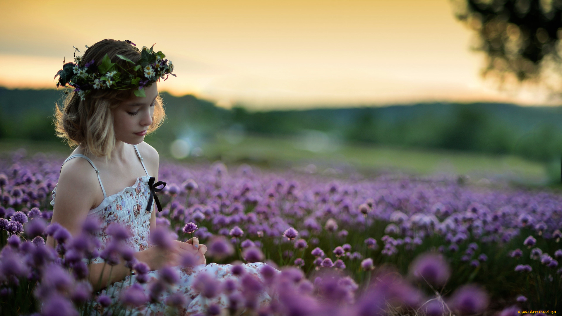 девушки, -, лица, , портреты, блондинка, венок, поле, цветы