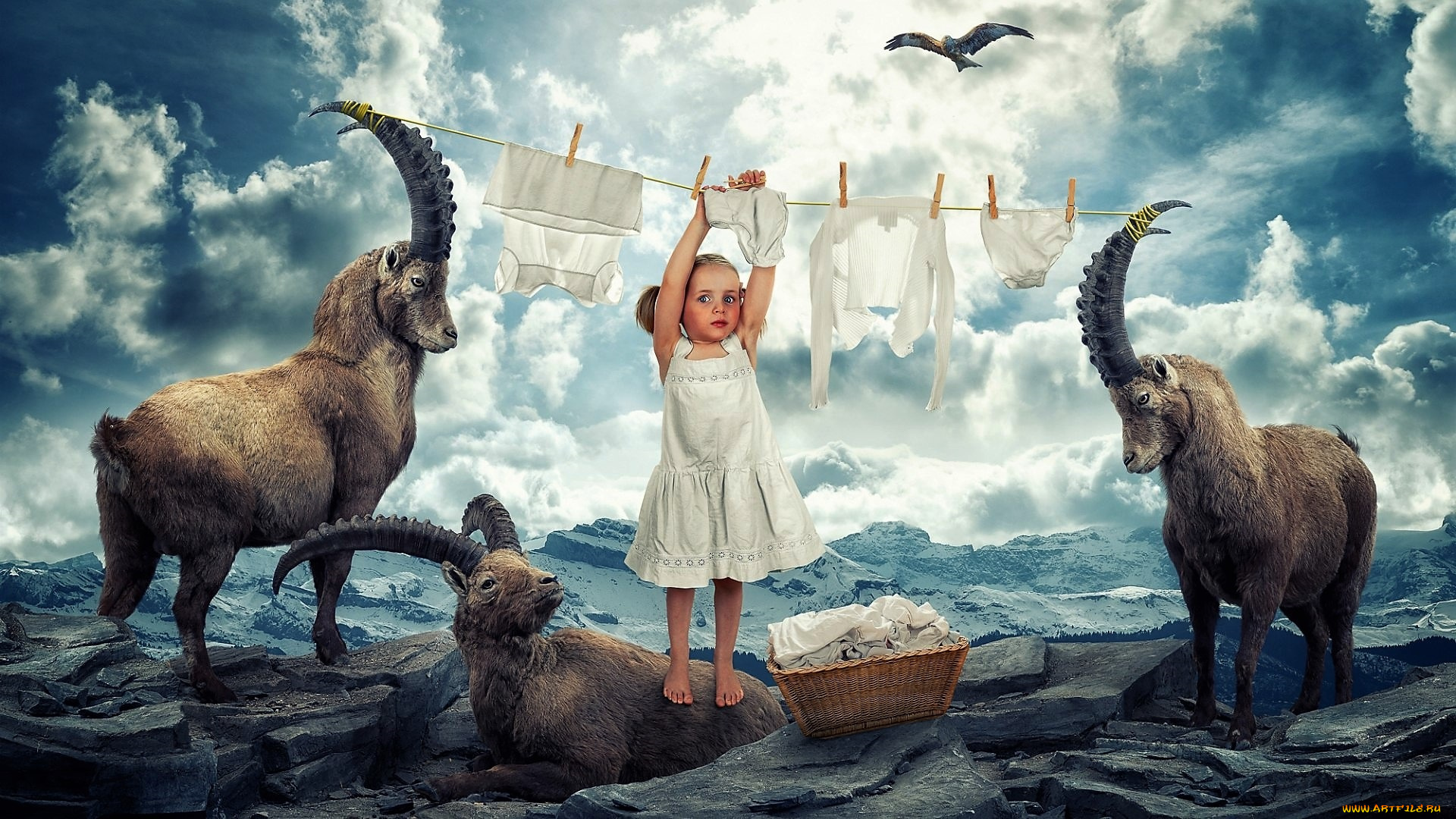 юмор, и, приколы, девочка, белье, море, козлы