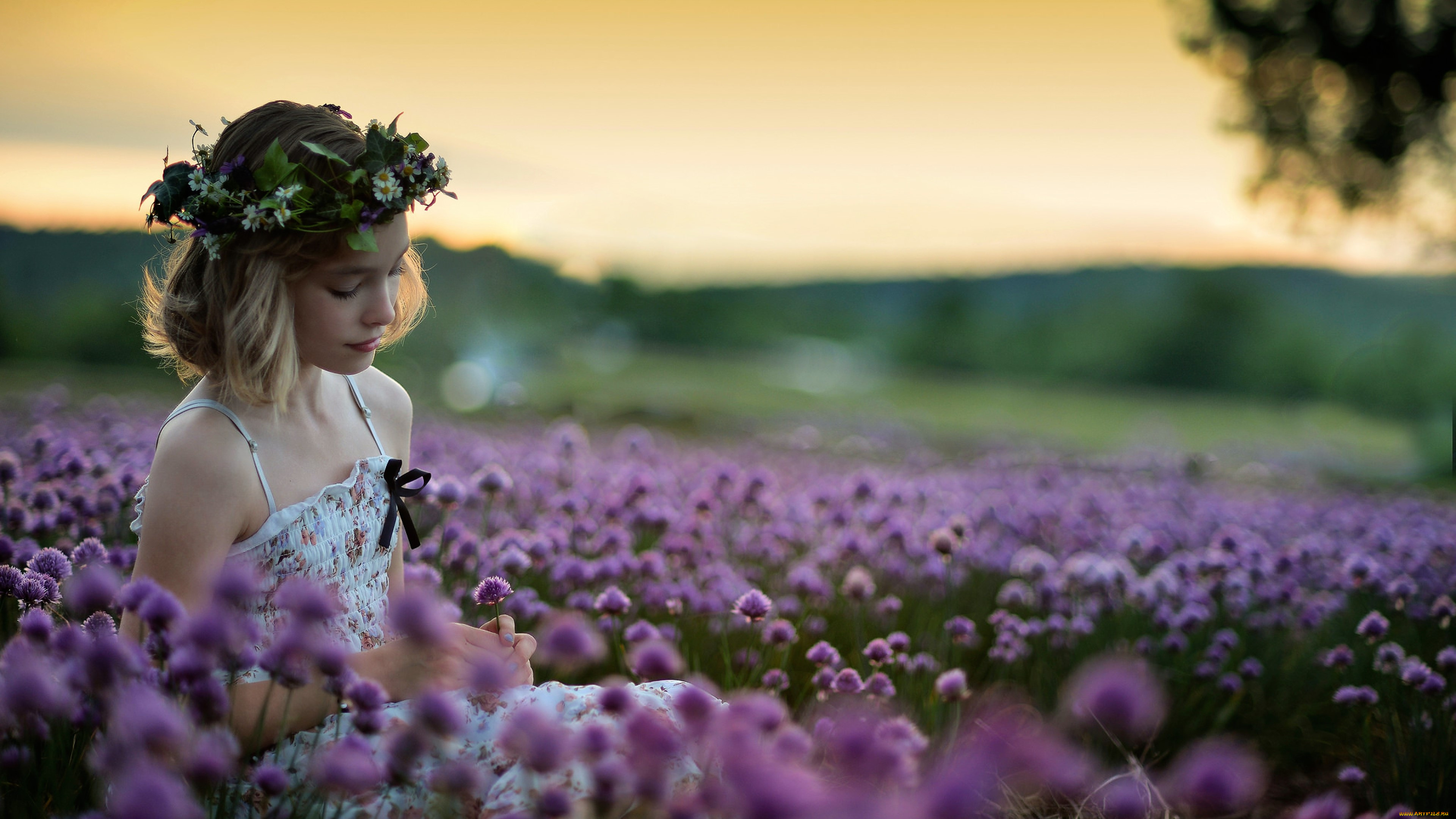 девушки, -, лица, , портреты, блондинка, венок, поле, цветы