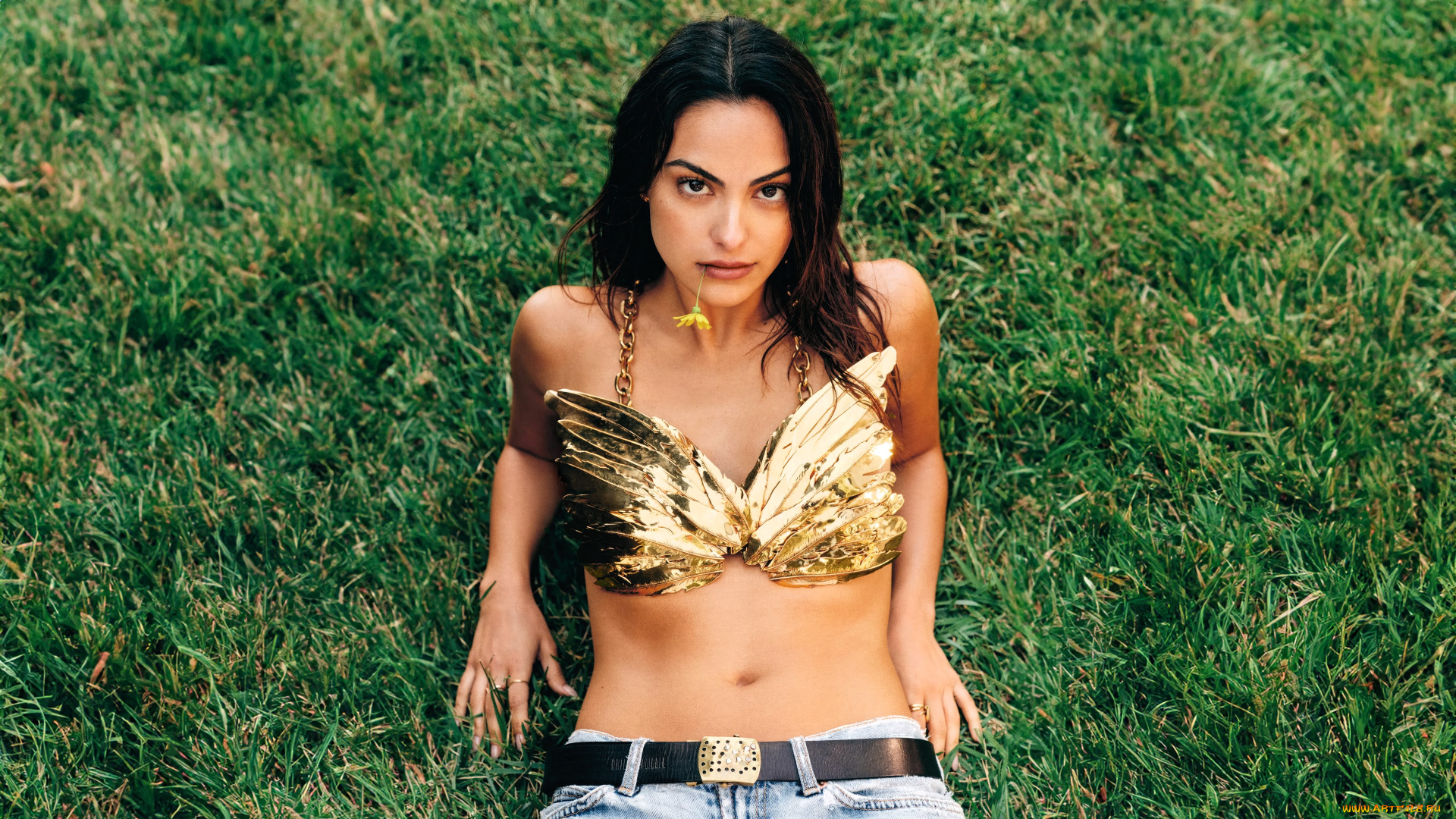 девушки, camila, mendes, актриса, брюнетка, топ, джинсы, трава, лужайка