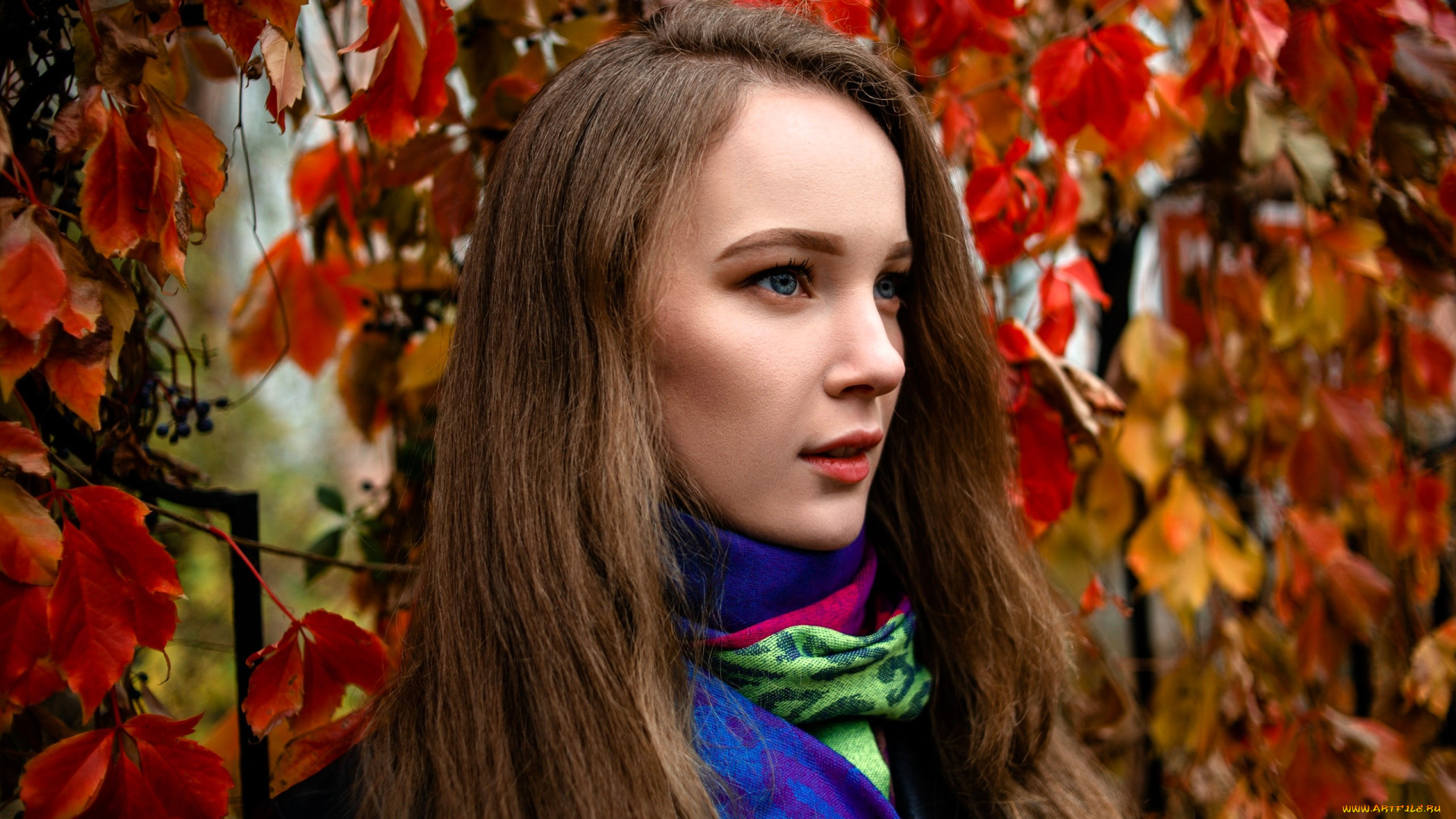 девушки, ксана, станкевич, шатенка, лицо, шарф, осень, листья, дикий, виноград