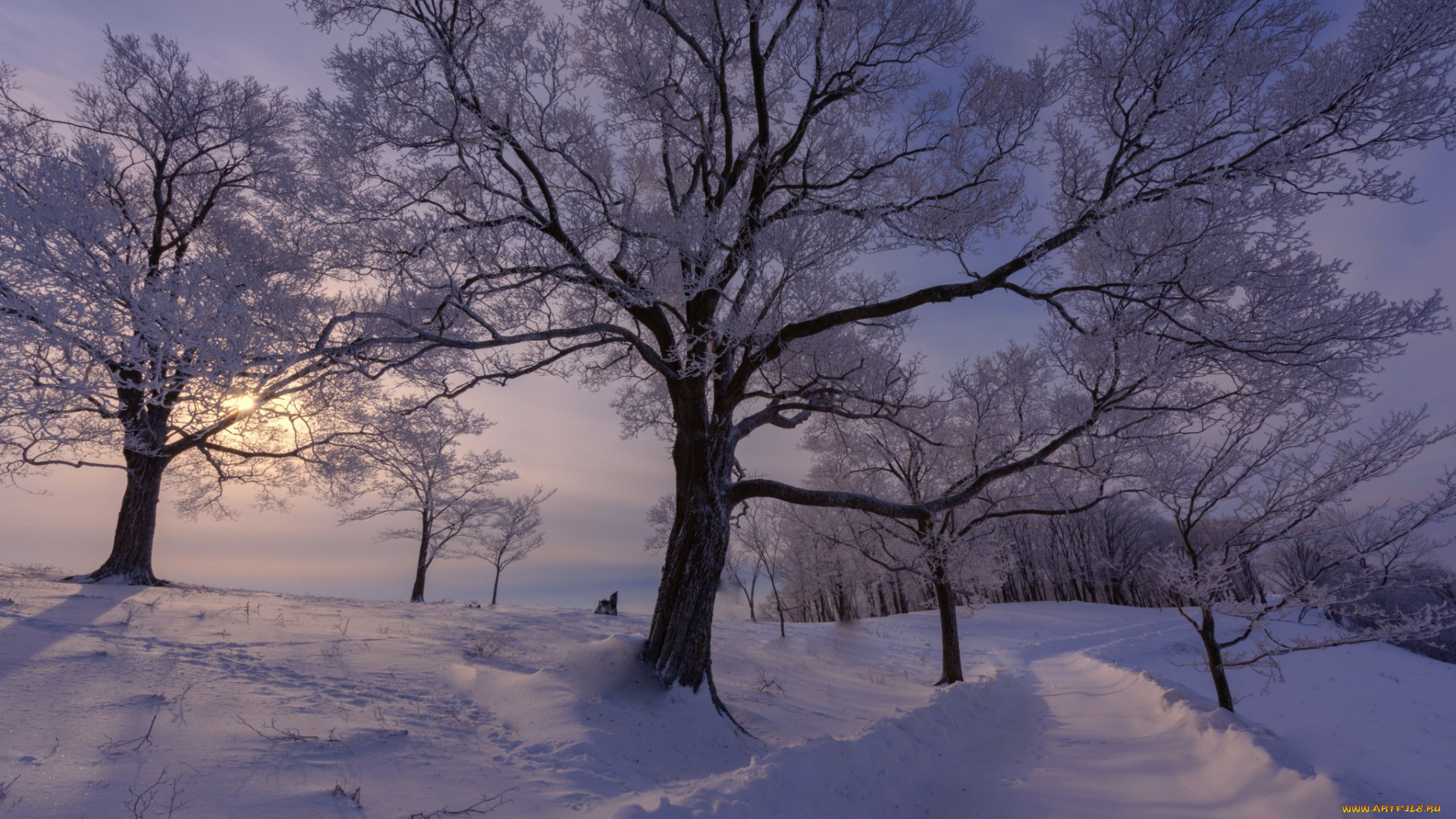 природа, зима, снег