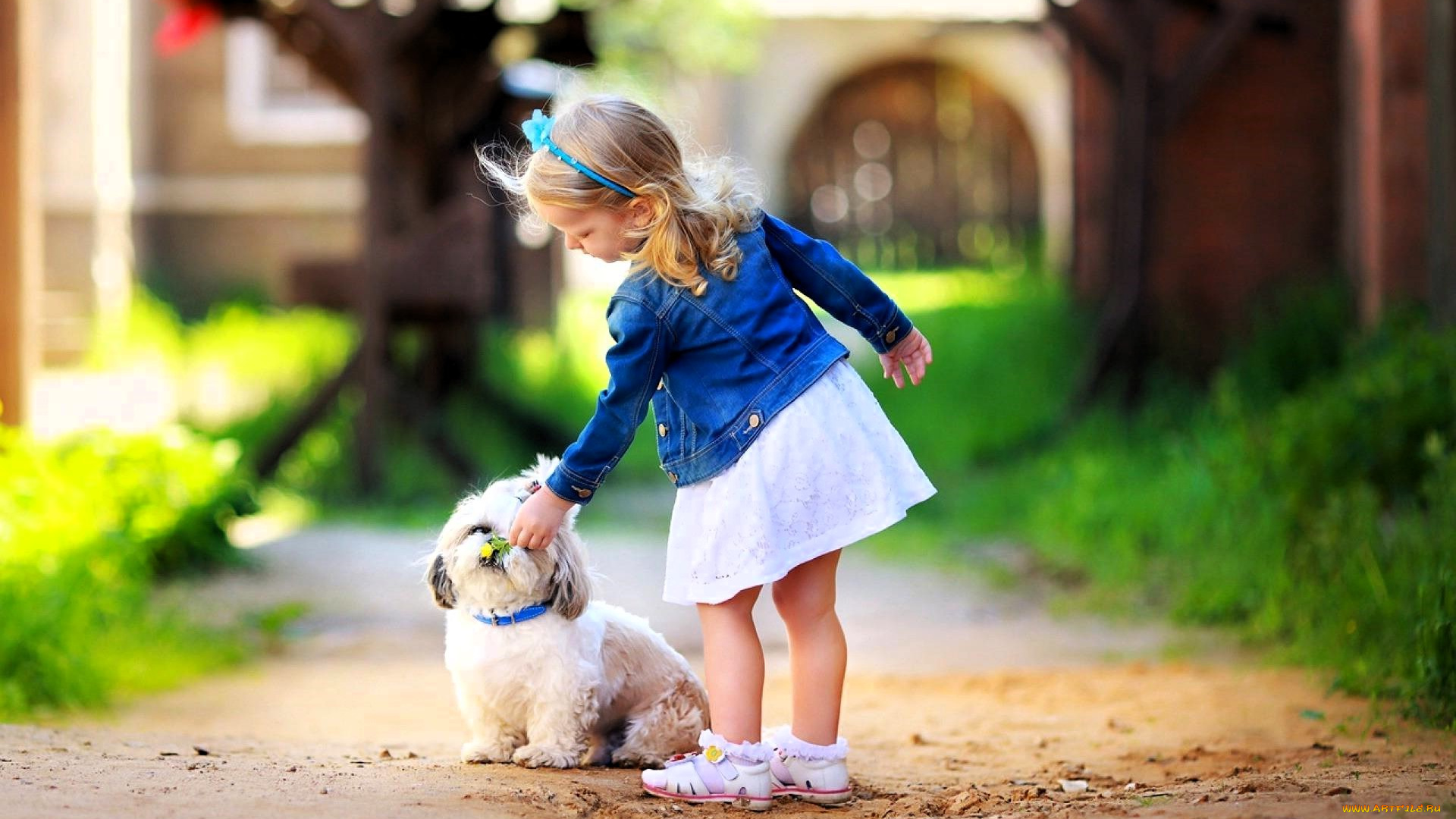 разное, дети, девочка, куртка, юбка, собака, дорожка, деревья, дом, двор
