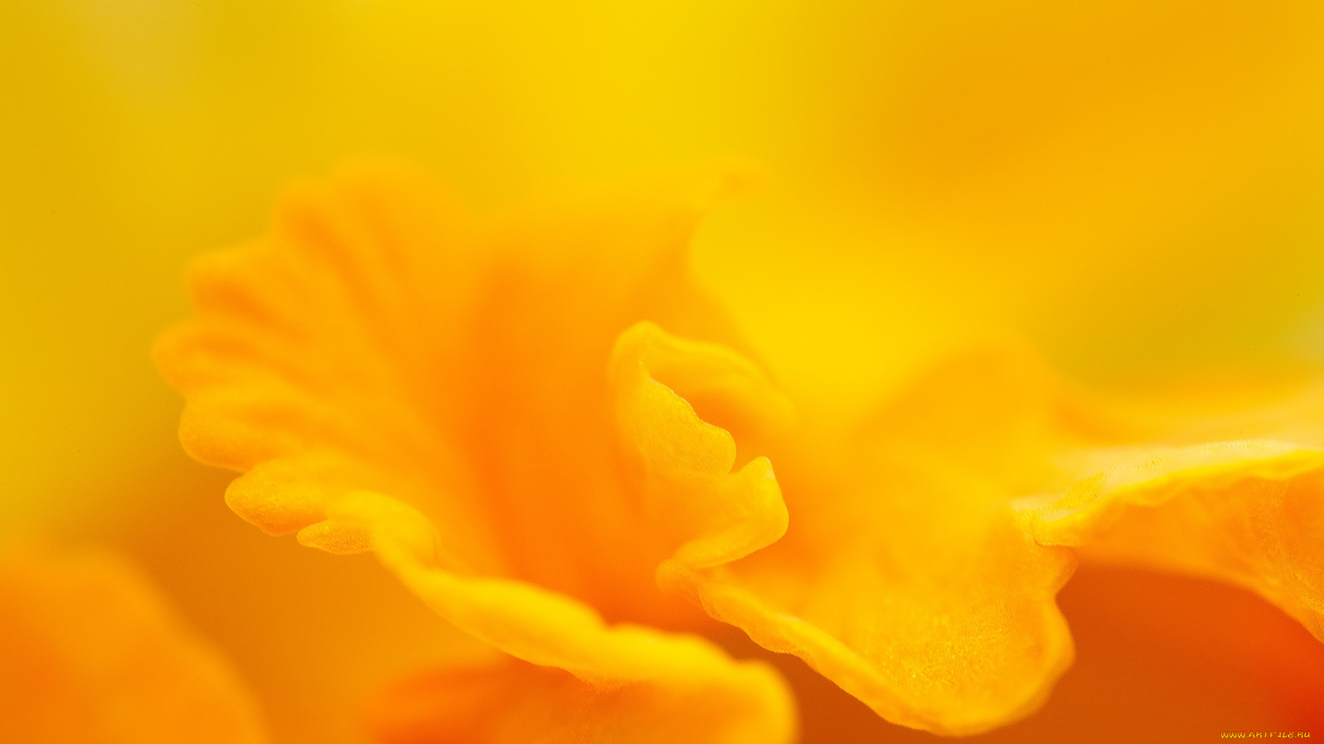 разное, текстуры, жёлтый