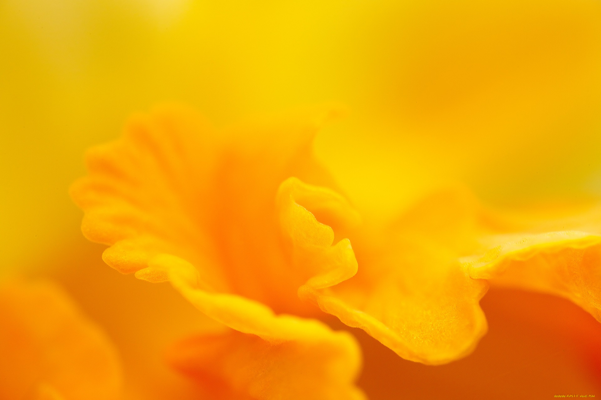 разное, текстуры, жёлтый