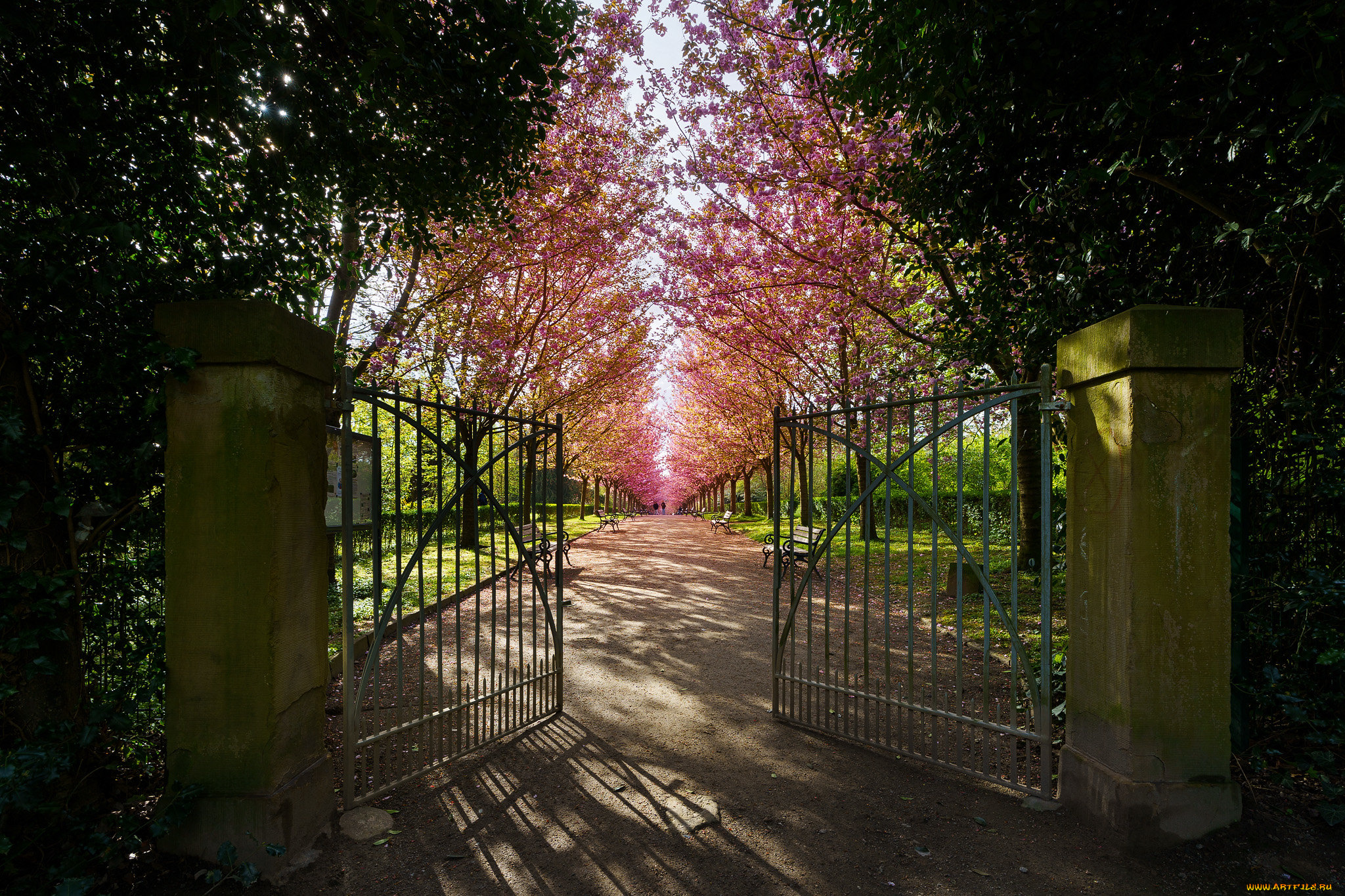 природа, парк