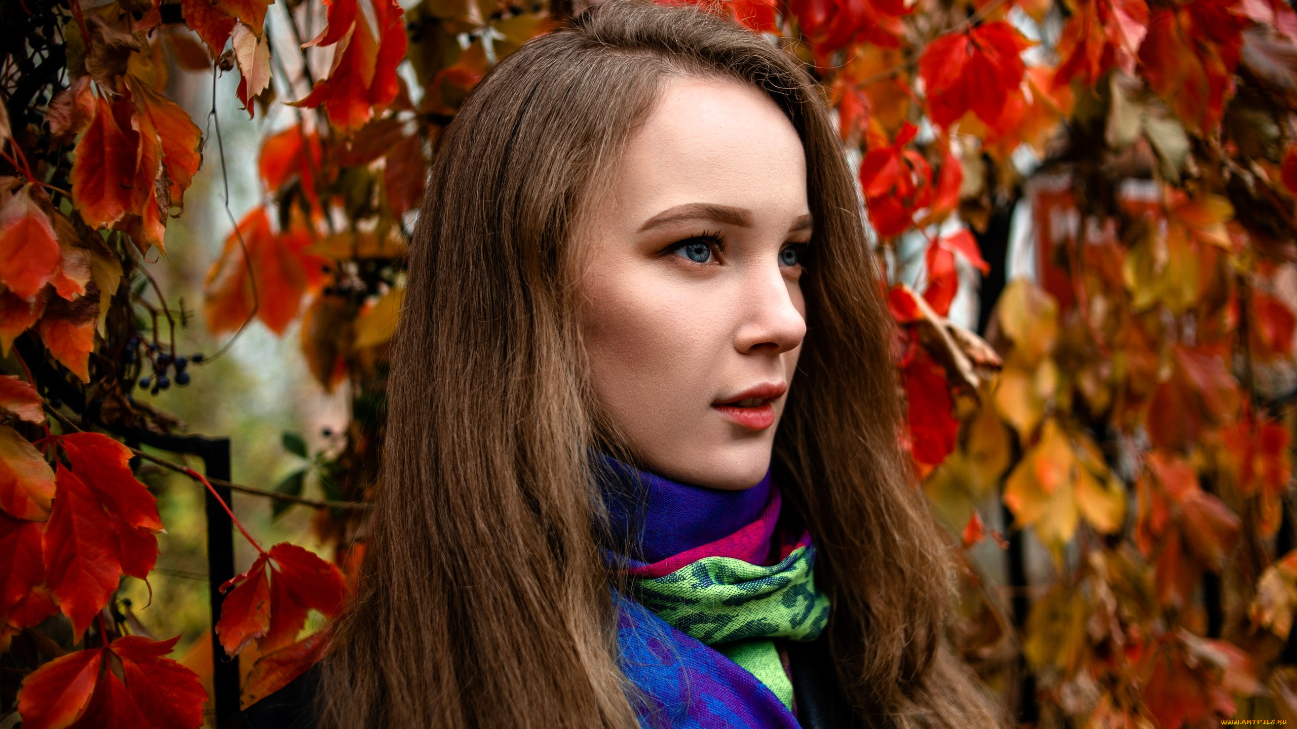 девушки, ксана, станкевич, шатенка, лицо, шарф, осень, листья, дикий, виноград