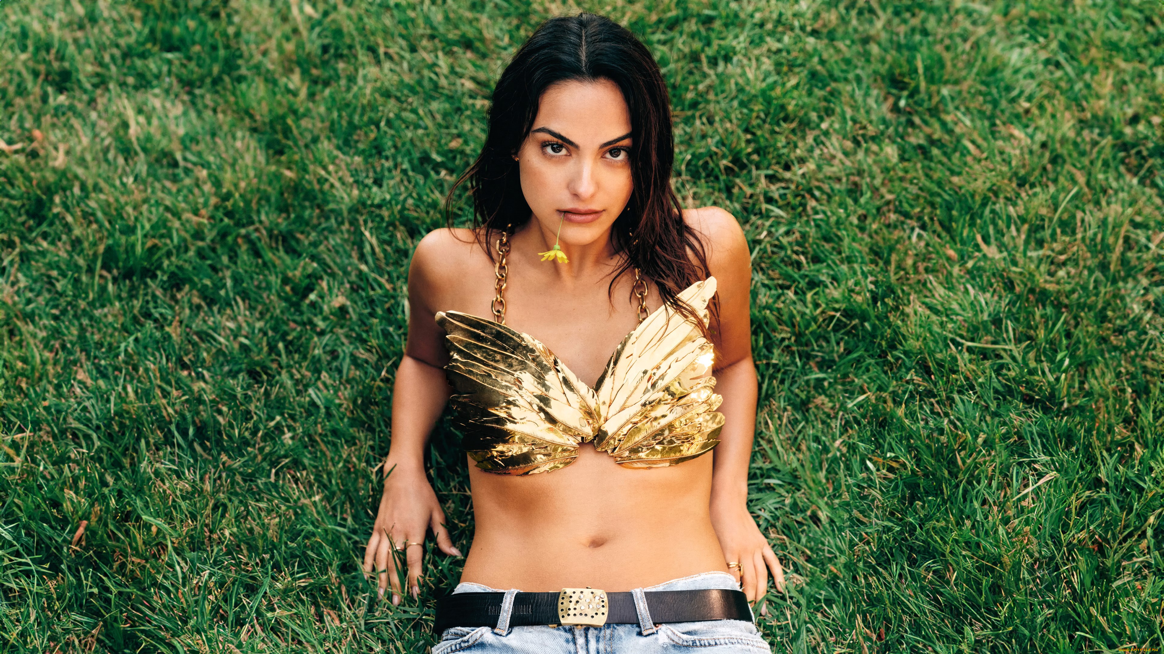 девушки, camila, mendes, актриса, брюнетка, топ, джинсы, трава, лужайка