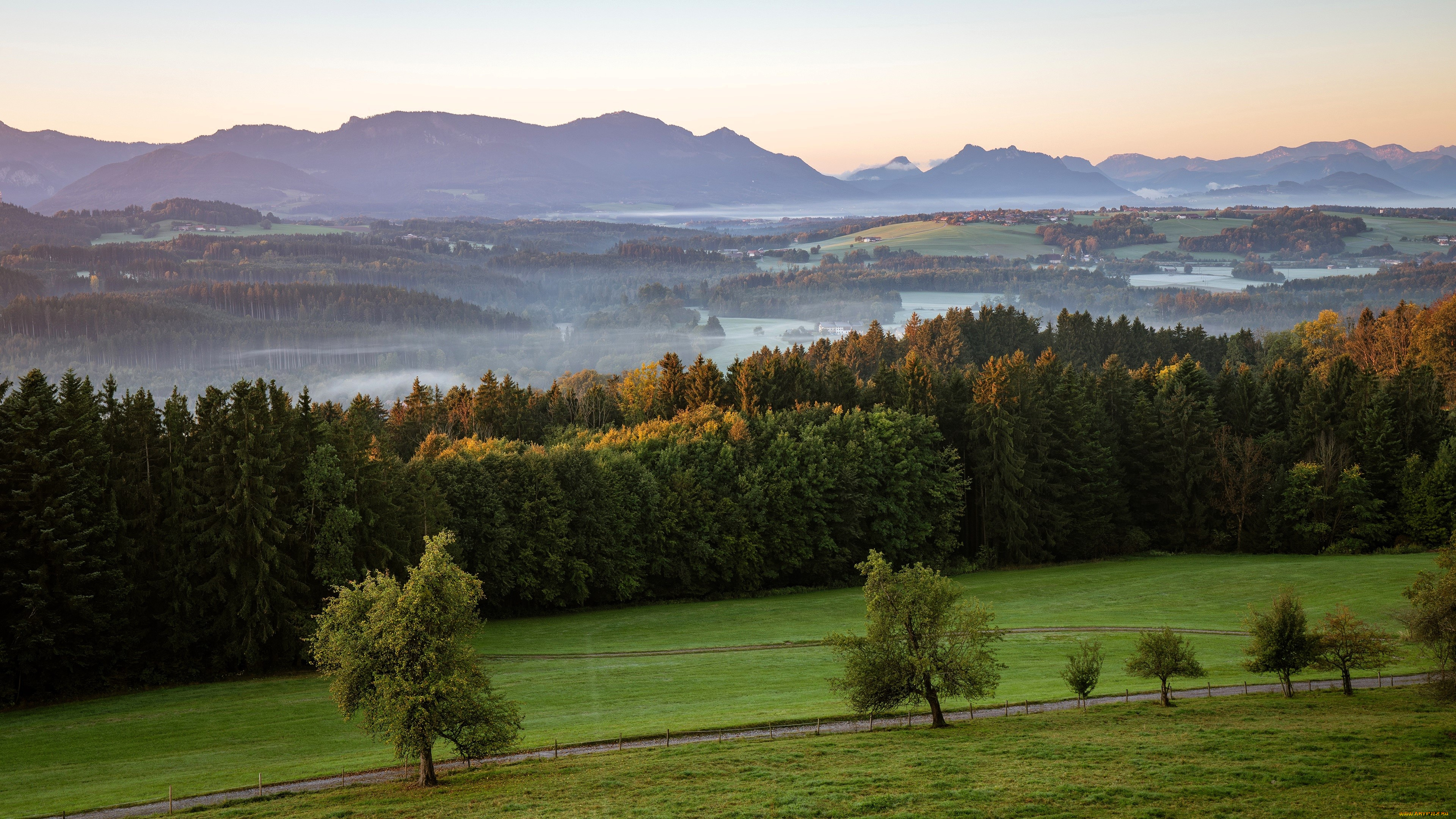 природа, луга, горы, рощи, деревья, осень, туман, дорога