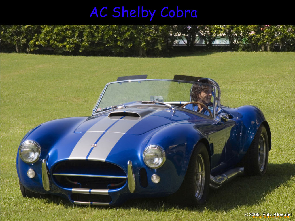 автомобили, ac, cobra, shelby