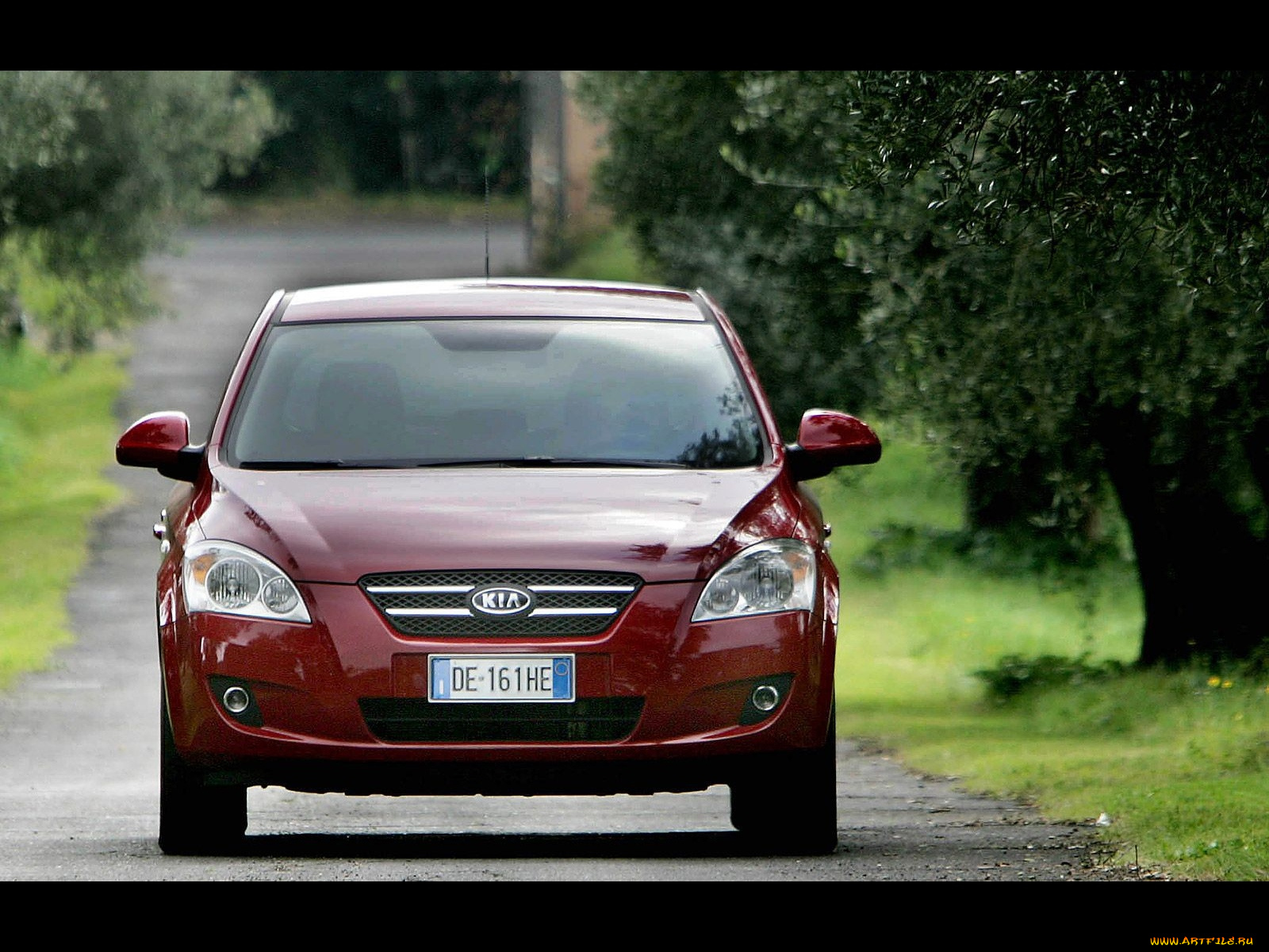 автомобили, kia