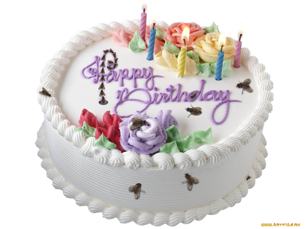 юмор, приколы